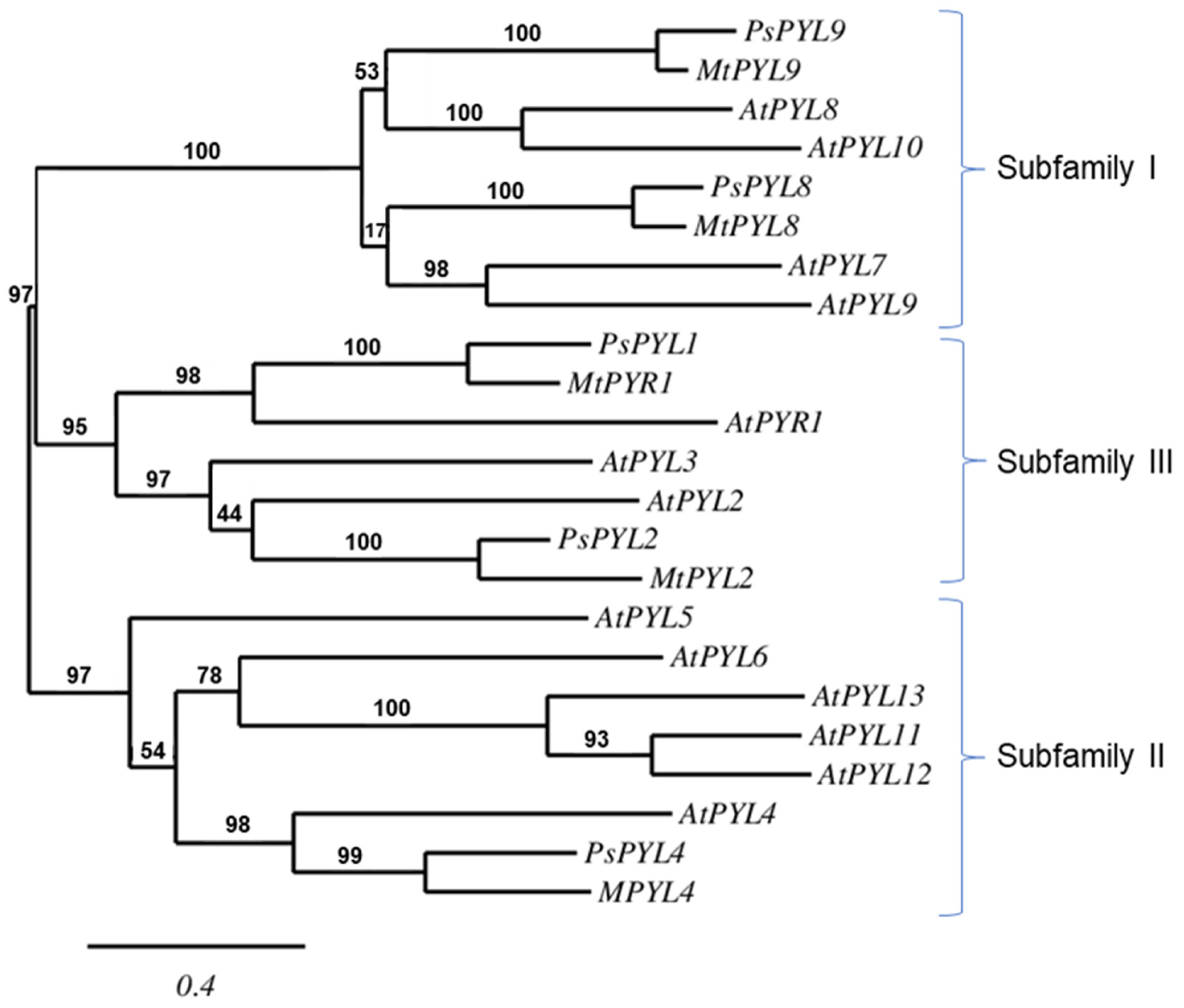 Ijms 25 06582 g004 Ijms 25 06582 g004