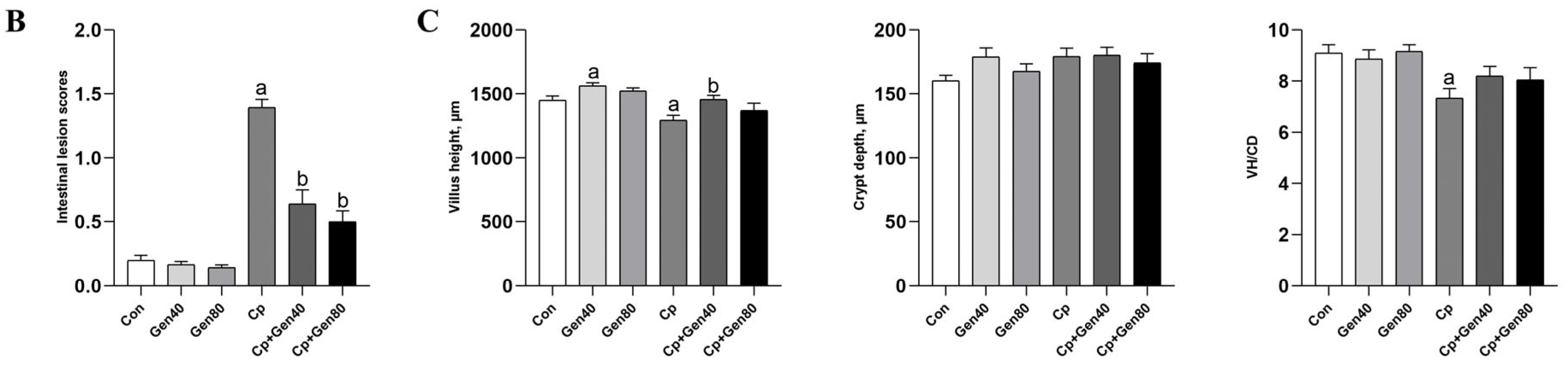 Ijms 25 06656 g001b Ijms 25 06656 g001b