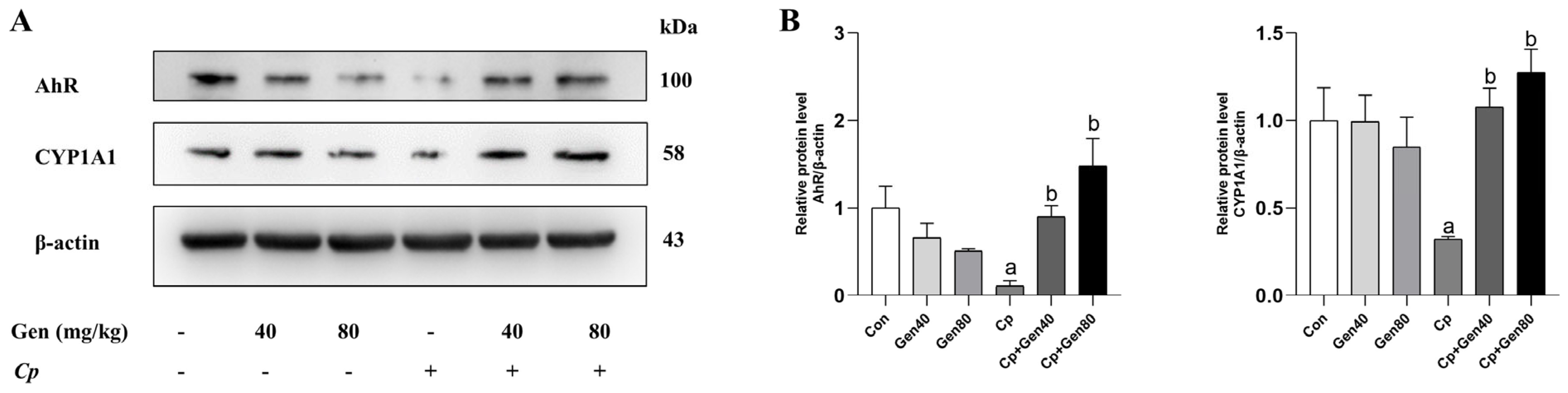 Ijms 25 06656 g003 Ijms 25 06656 g003