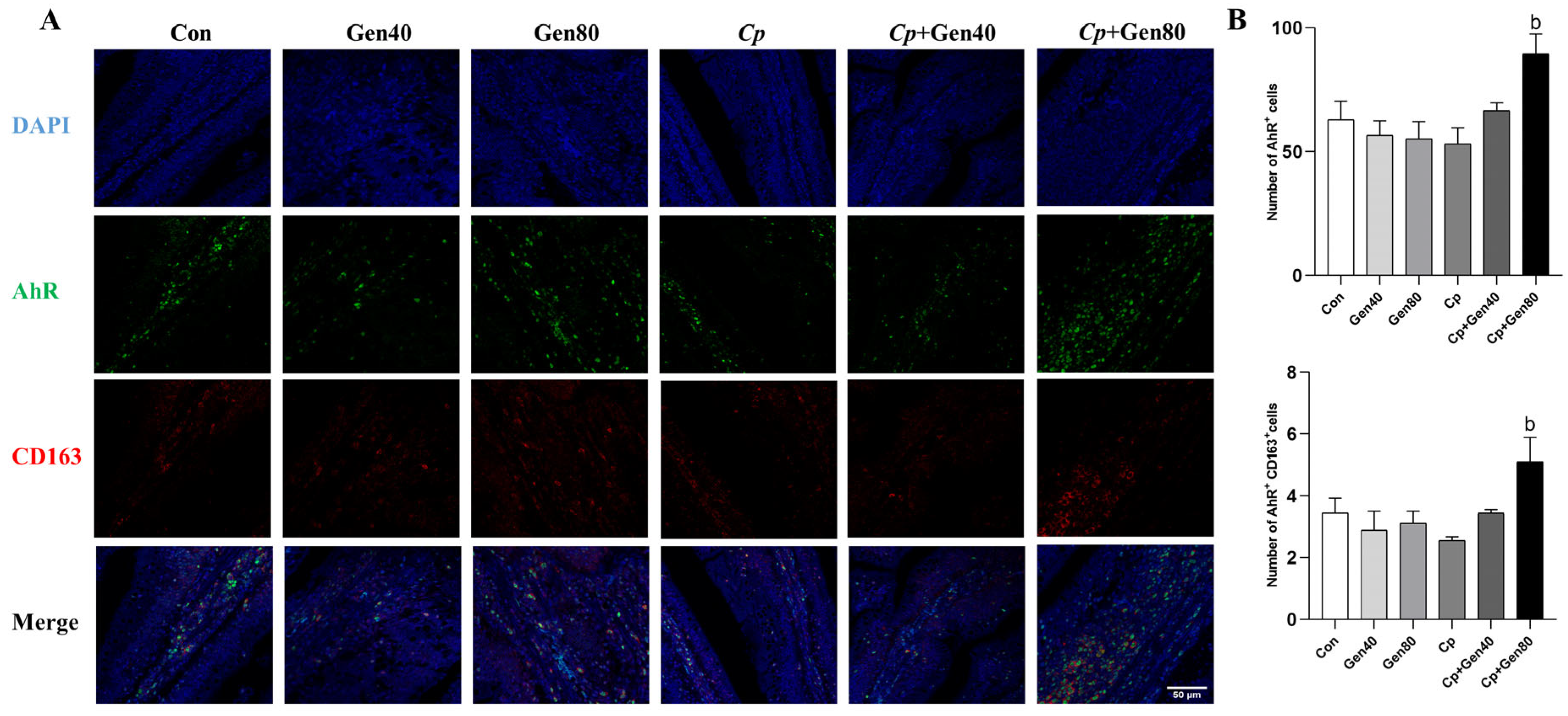 Ijms 25 06656 g004 Ijms 25 06656 g004