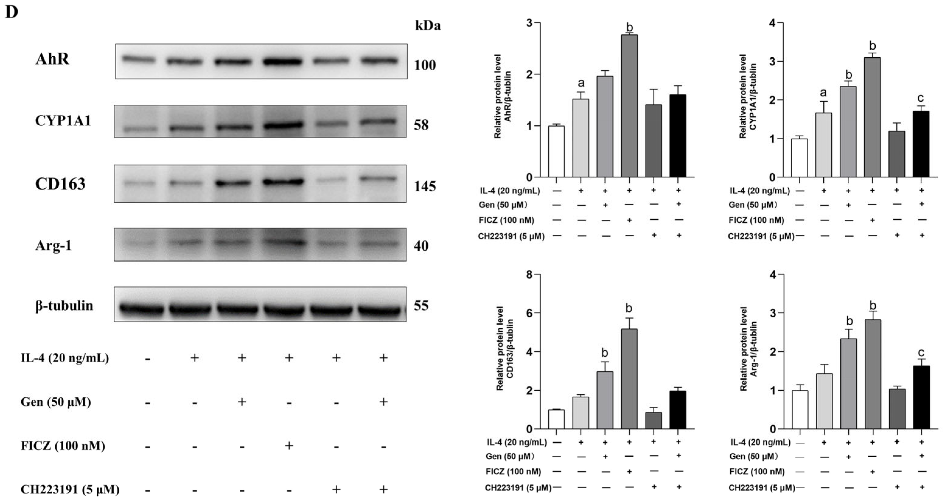 Ijms 25 06656 g005b Ijms 25 06656 g005b
