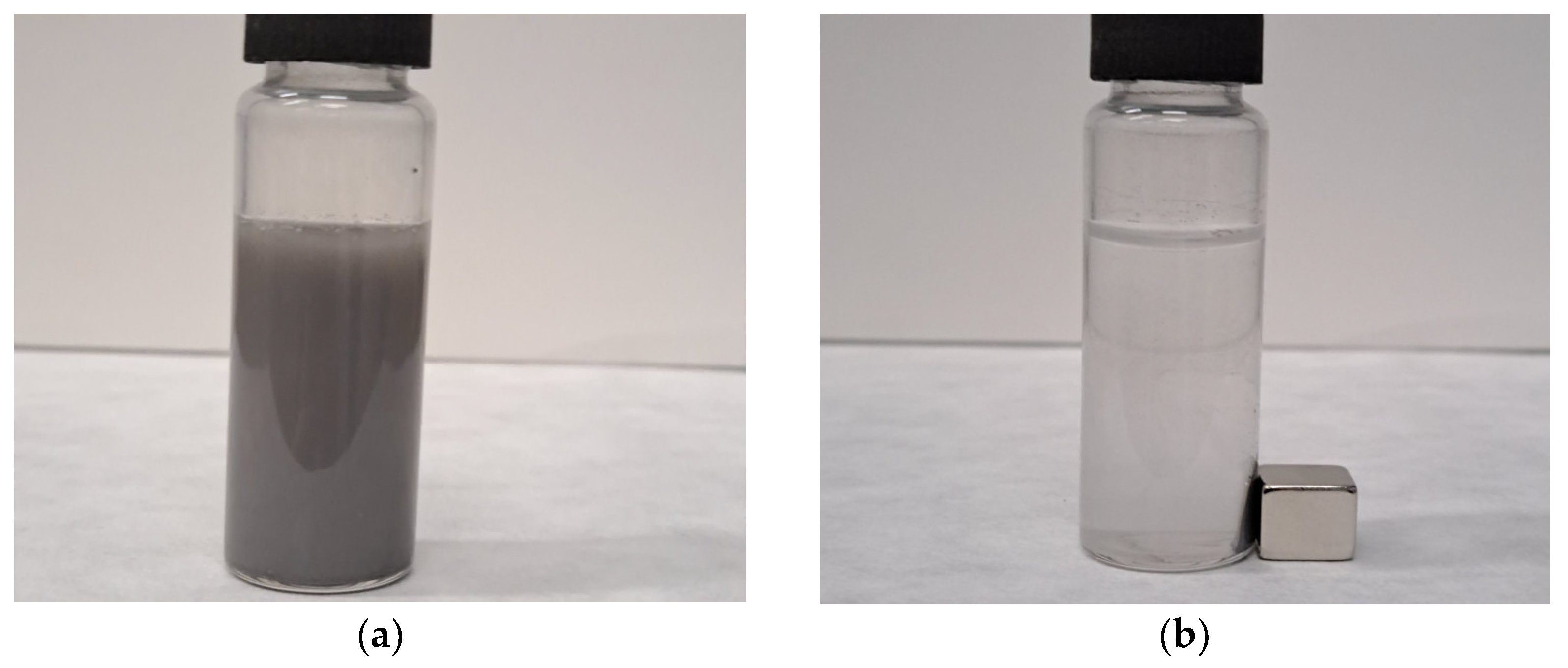Ijms 25 06755 g019