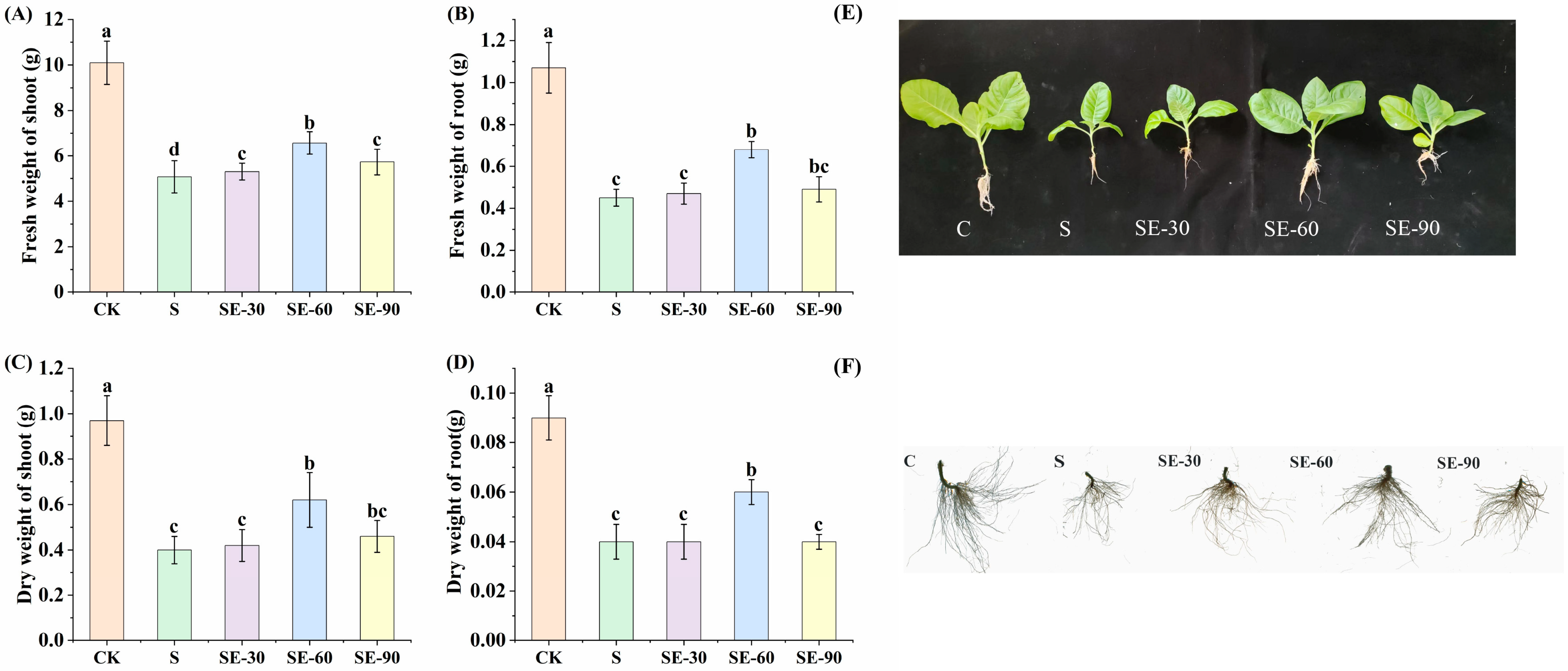 Ijms 25 06771 g001 Ijms 25 06771 g001