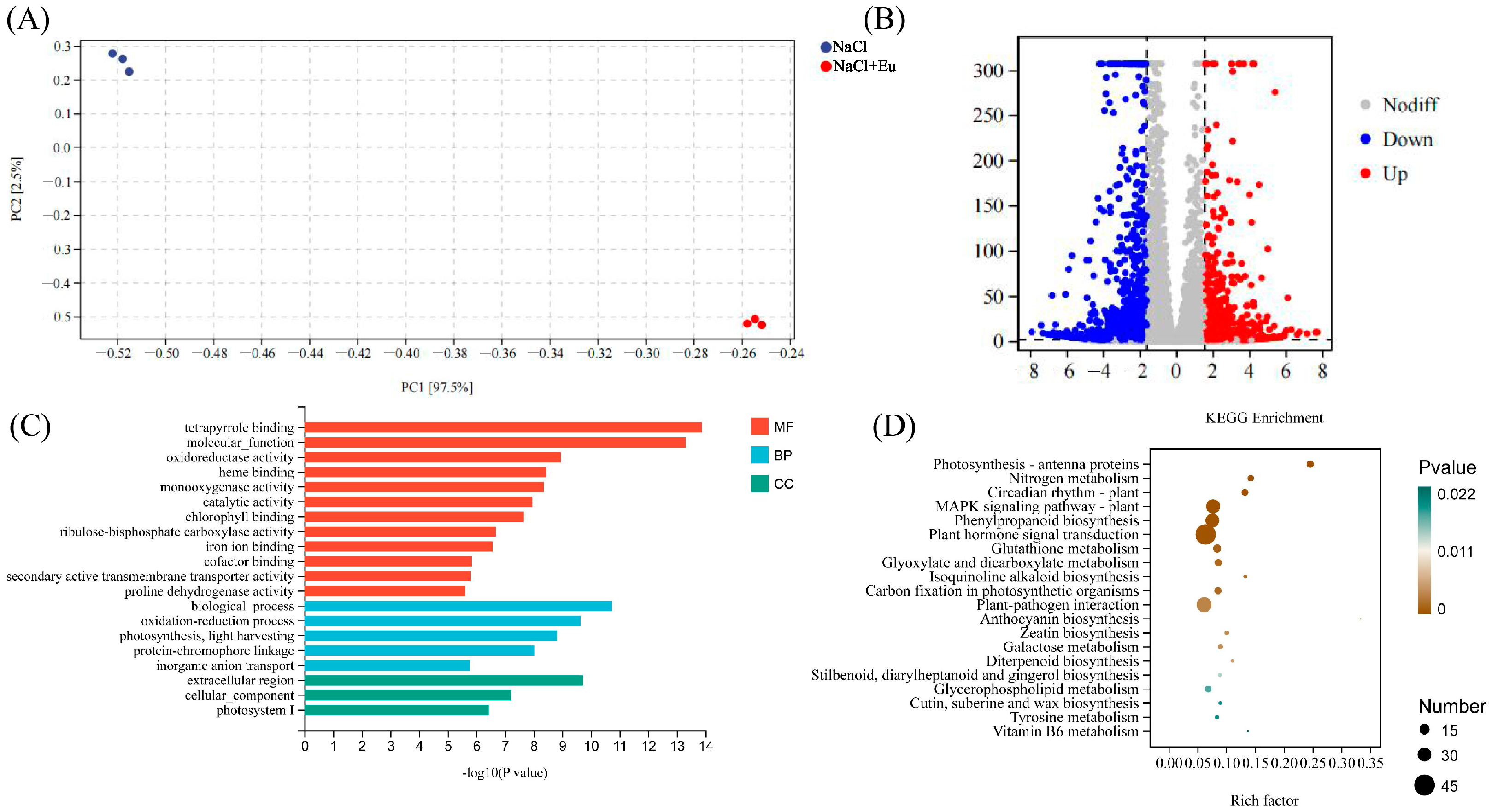 Ijms 25 06771 g007 Ijms 25 06771 g007