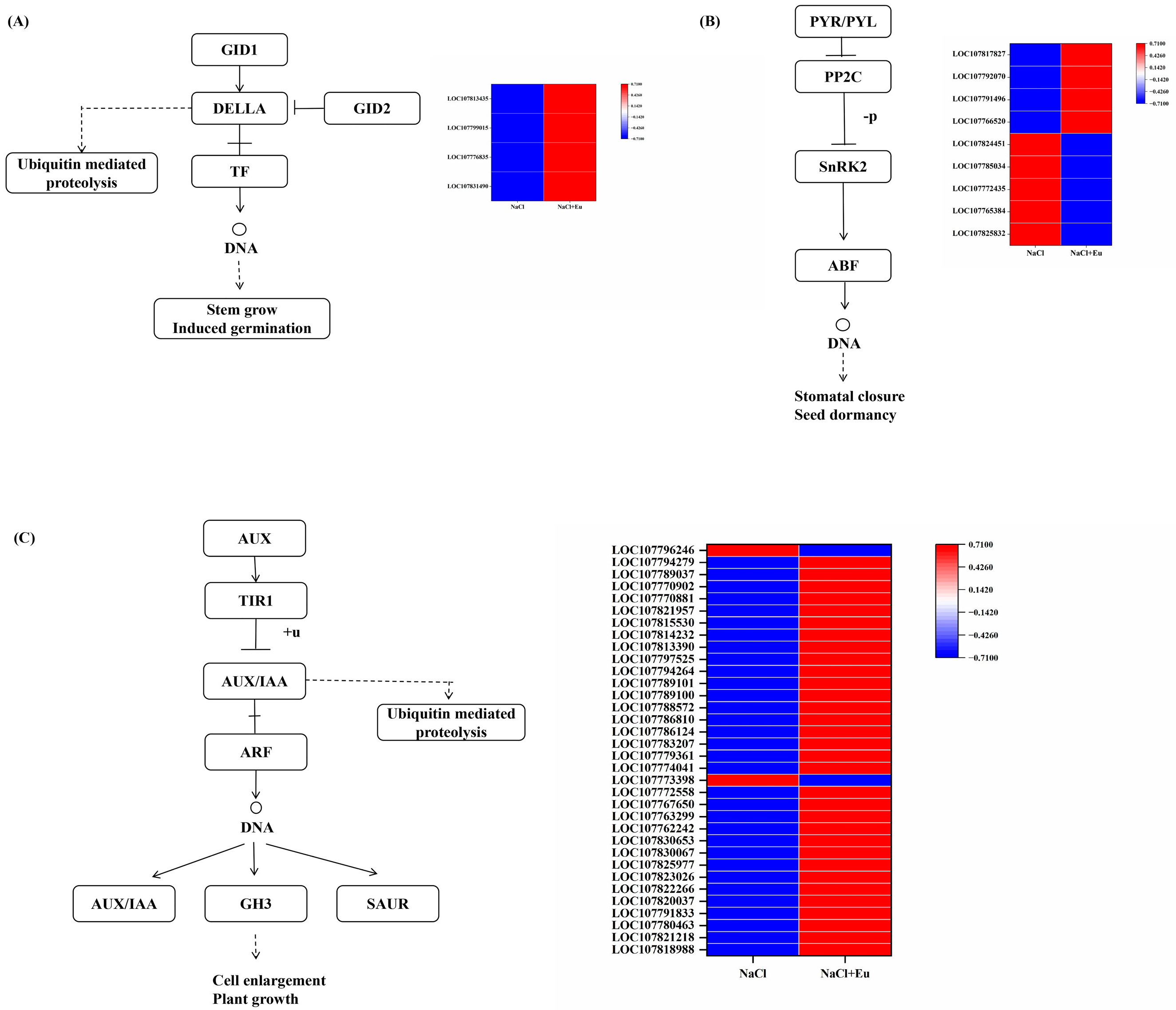 Ijms 25 06771 g009 Ijms 25 06771 g009