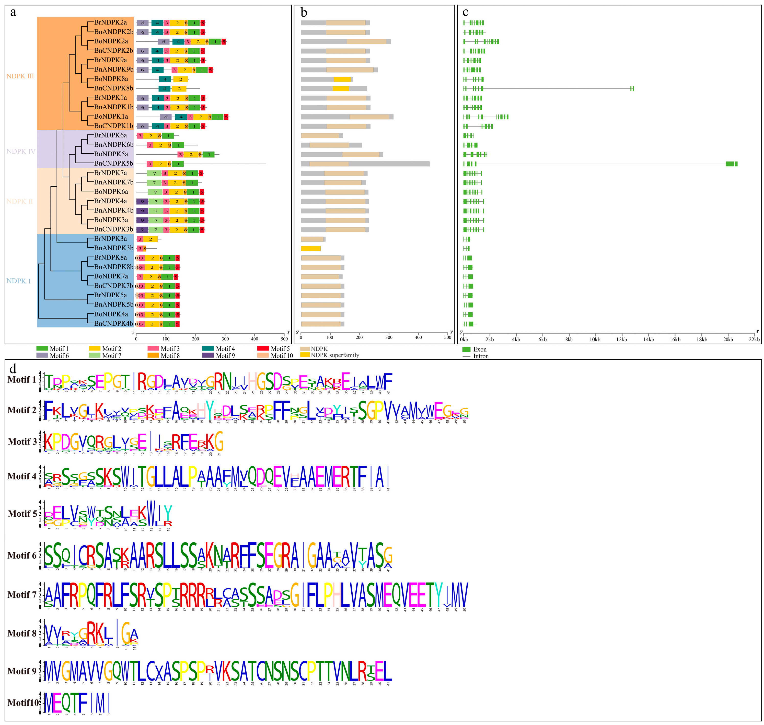 Ijms 25 06795 g003