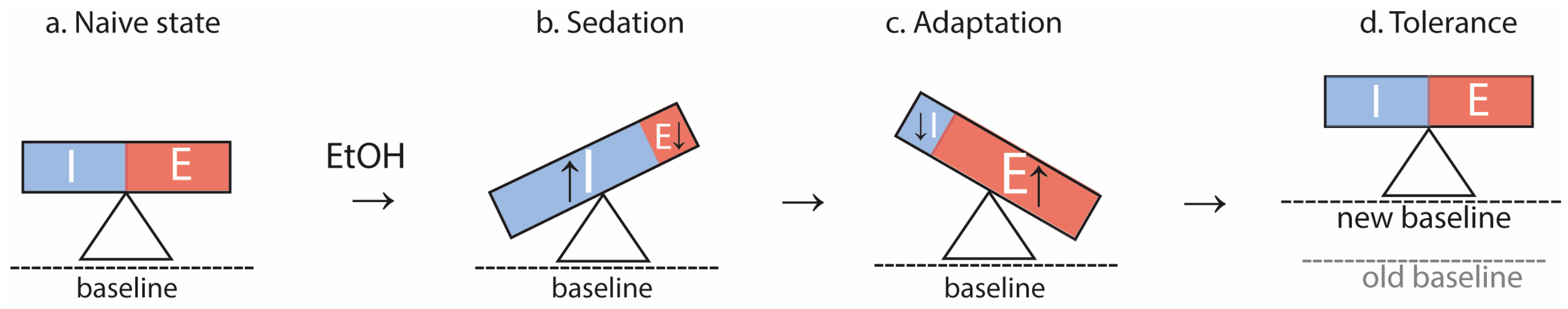 Ijms 25 06838 g001 Ijms 25 06838 g001