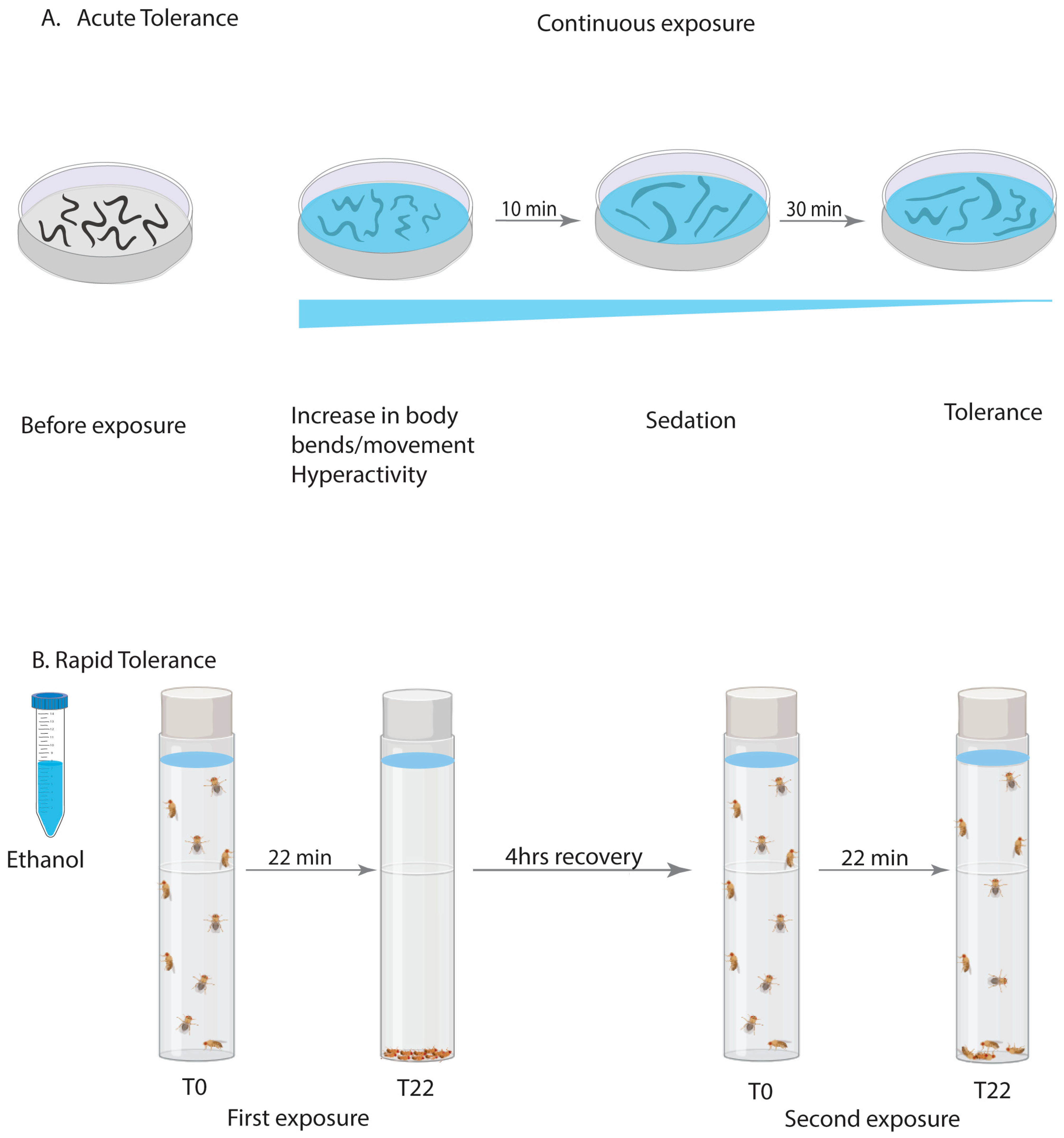 Ijms 25 06838 g002 Ijms 25 06838 g002