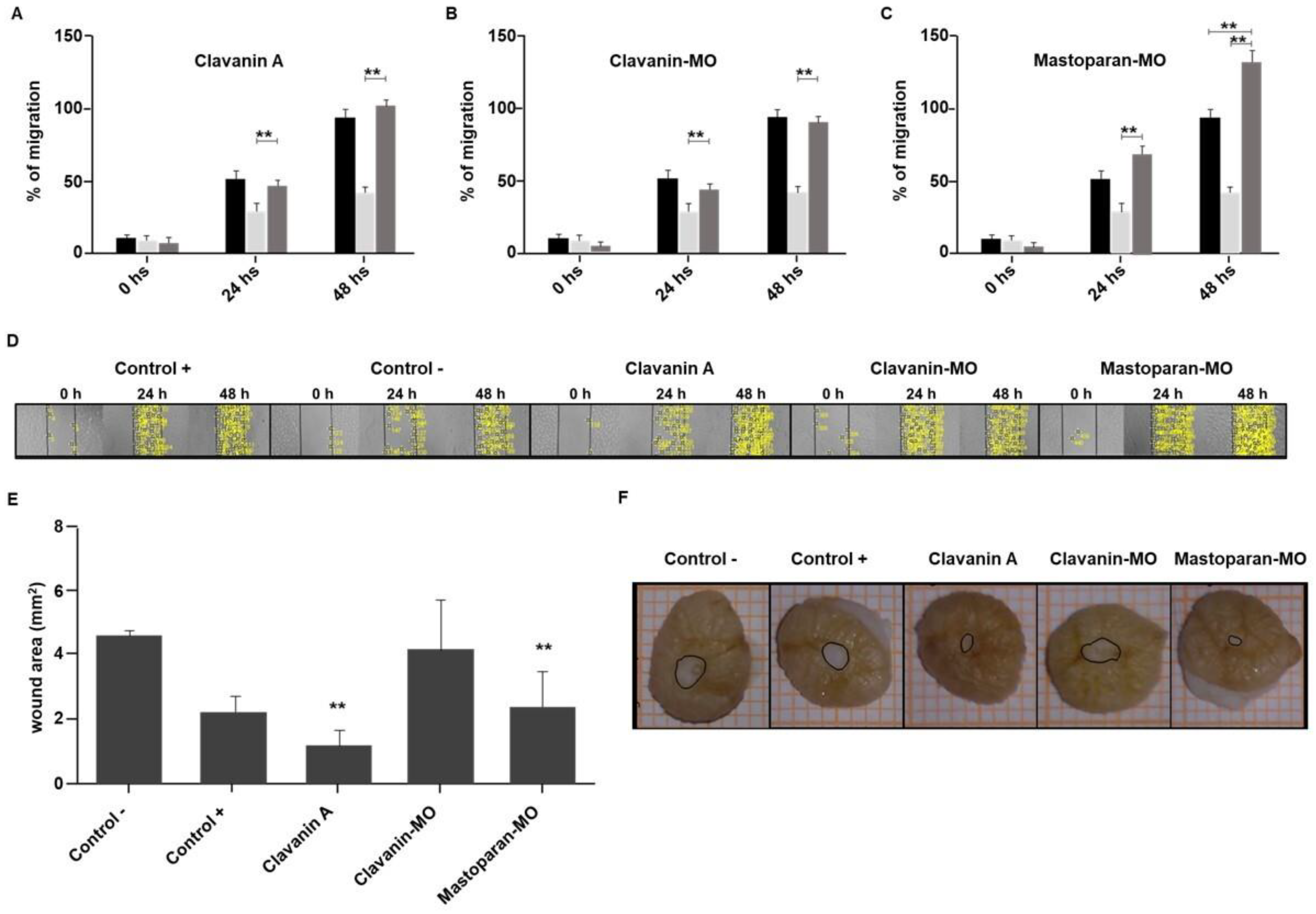 Ijms 25 06851 g004 Ijms 25 06851 g004