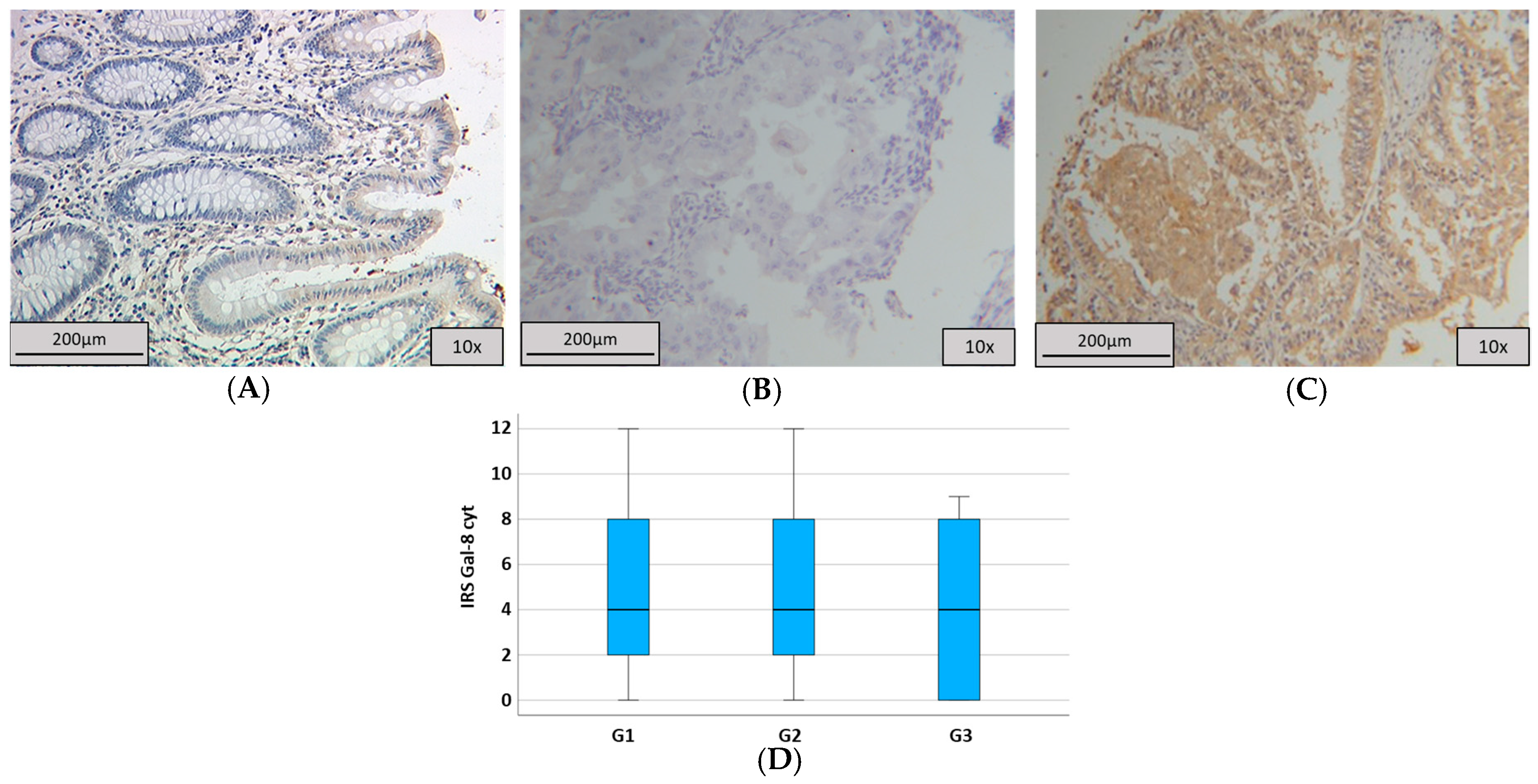 Ijms 25 06907 g002 Ijms 25 06907 g002