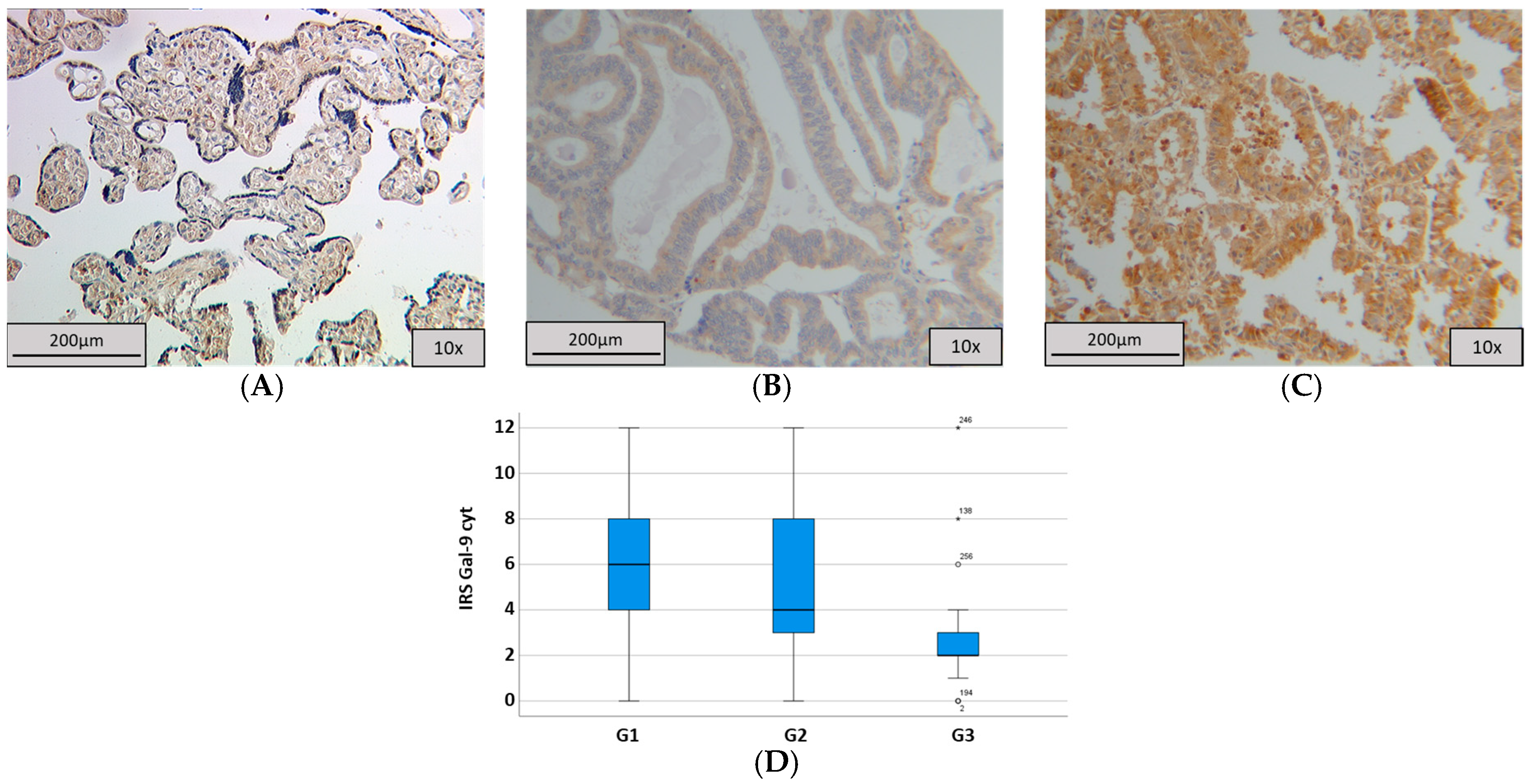Ijms 25 06907 g003 Ijms 25 06907 g003