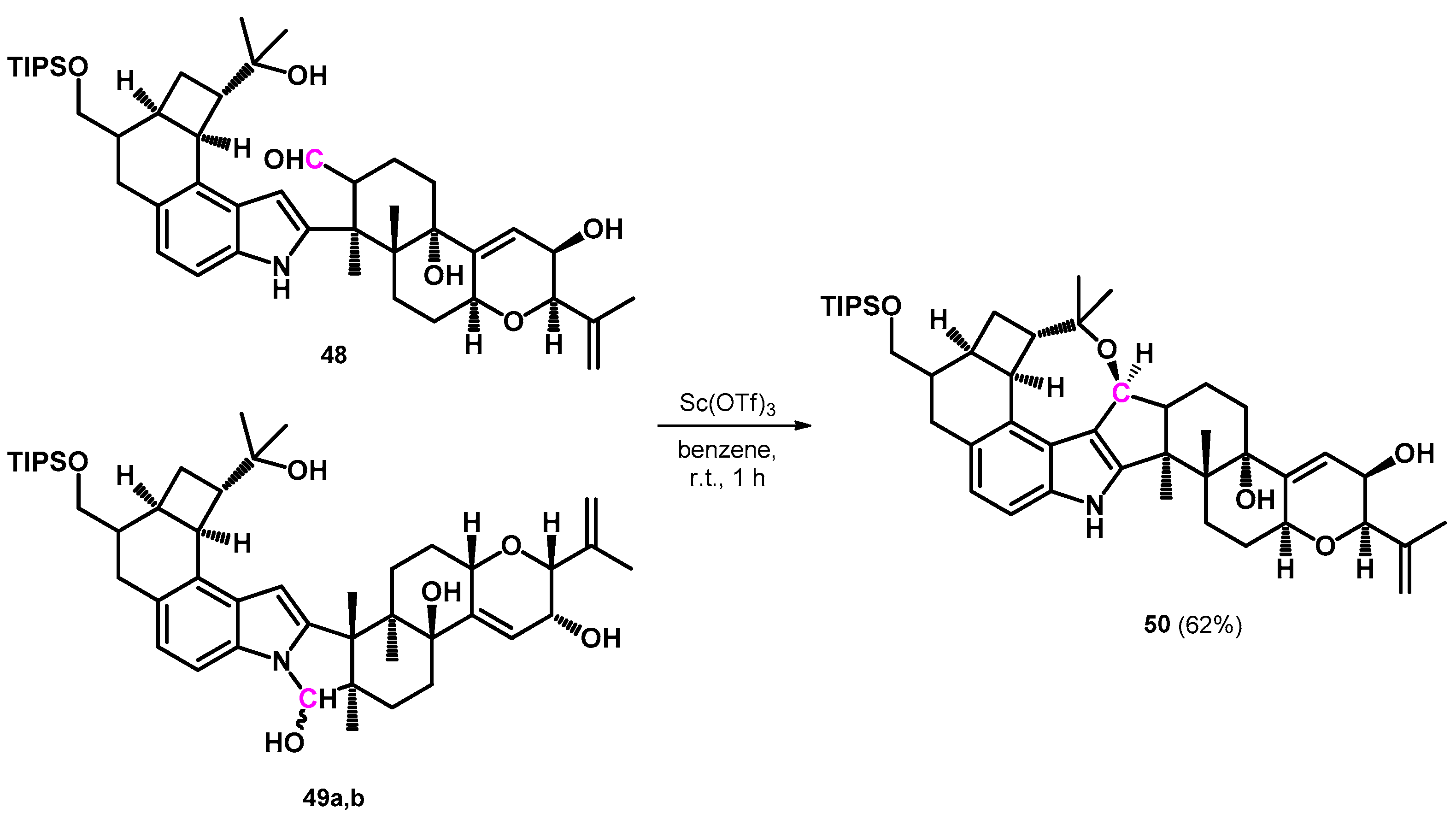 Ijms 25 06966 sch016