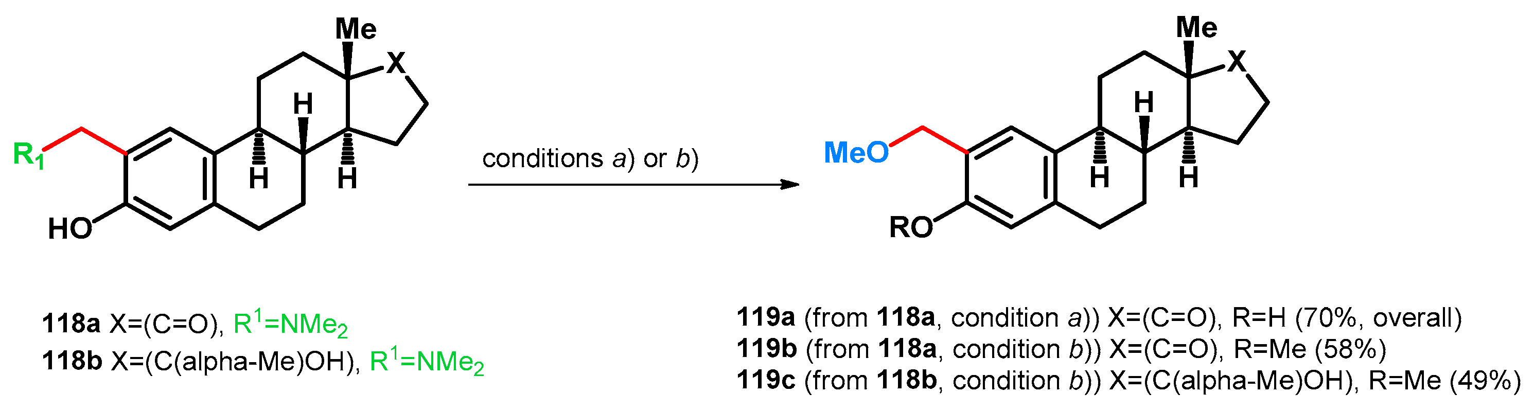 Ijms 25 06966 sch033