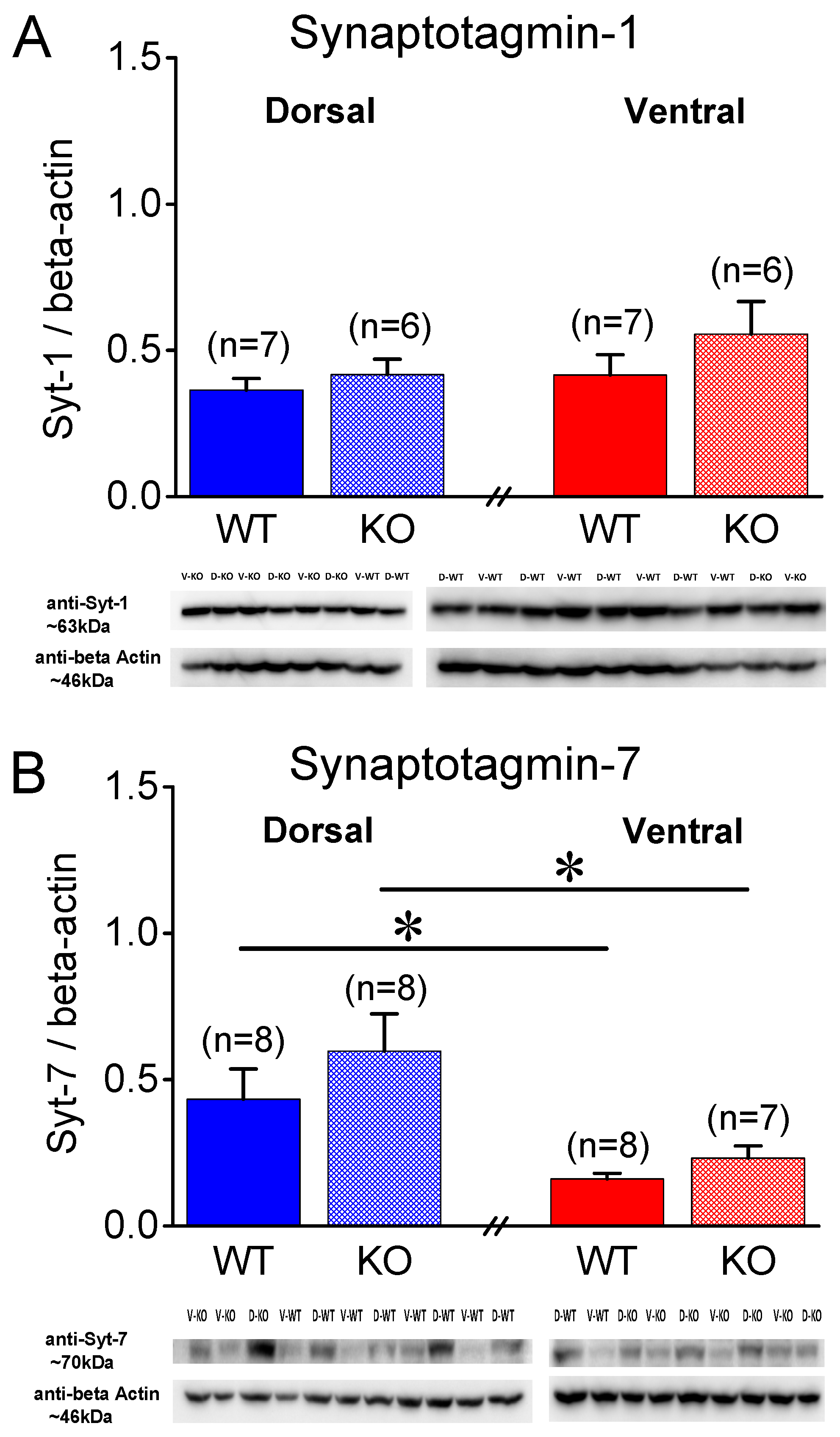 Ijms 25 06975 g005 Ijms 25 06975 g005