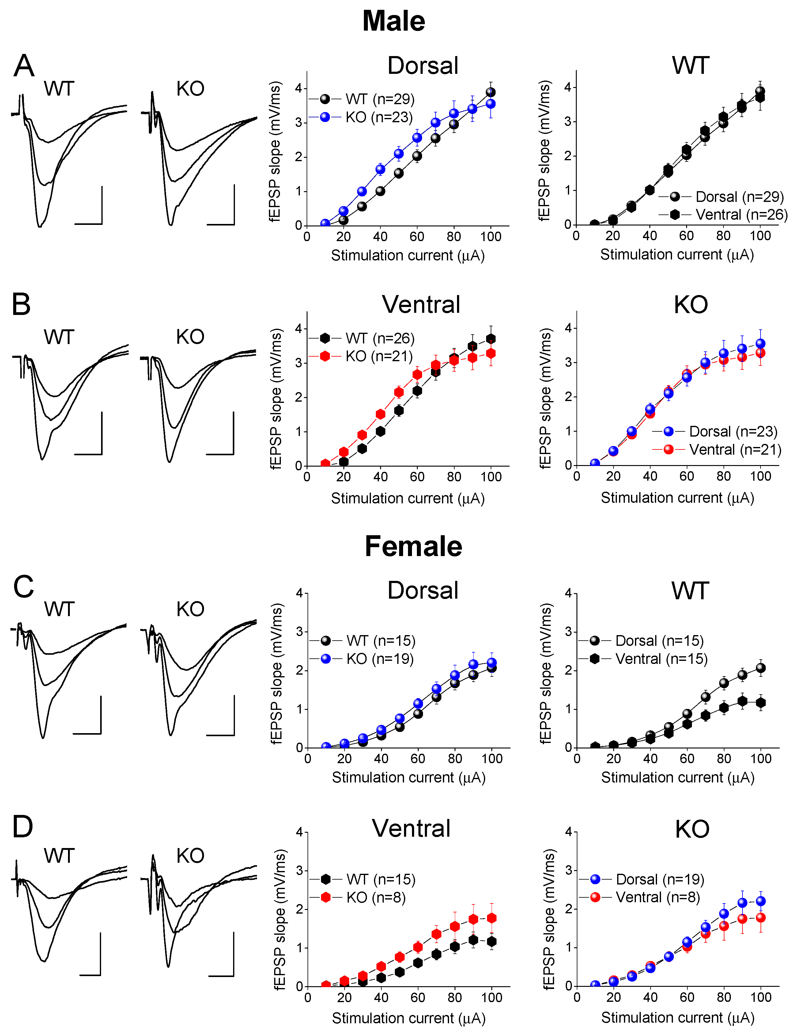 Ijms 25 06975 g009 Ijms 25 06975 g009