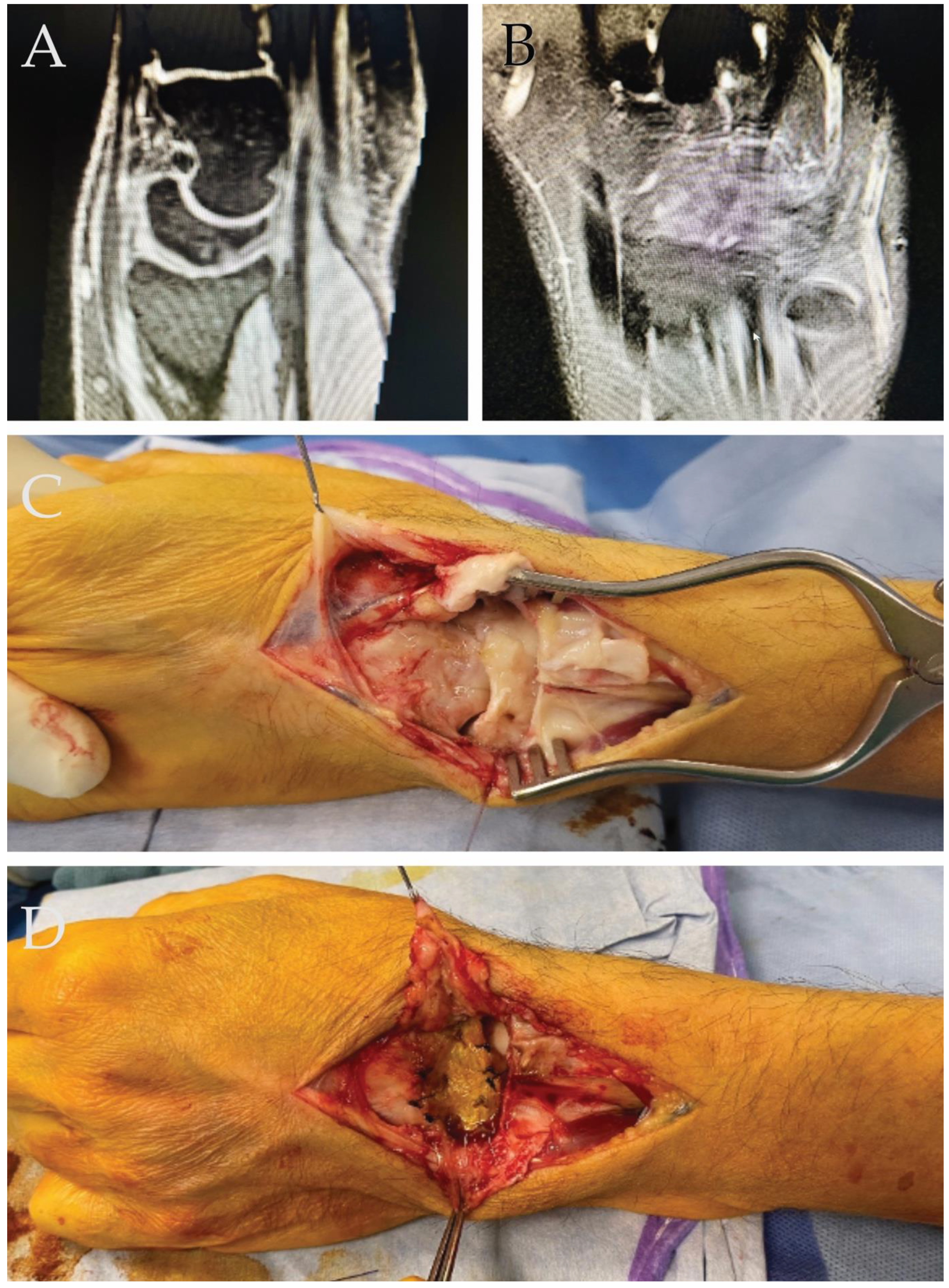 Ijms 25 07088 g004 Ijms 25 07088 g004