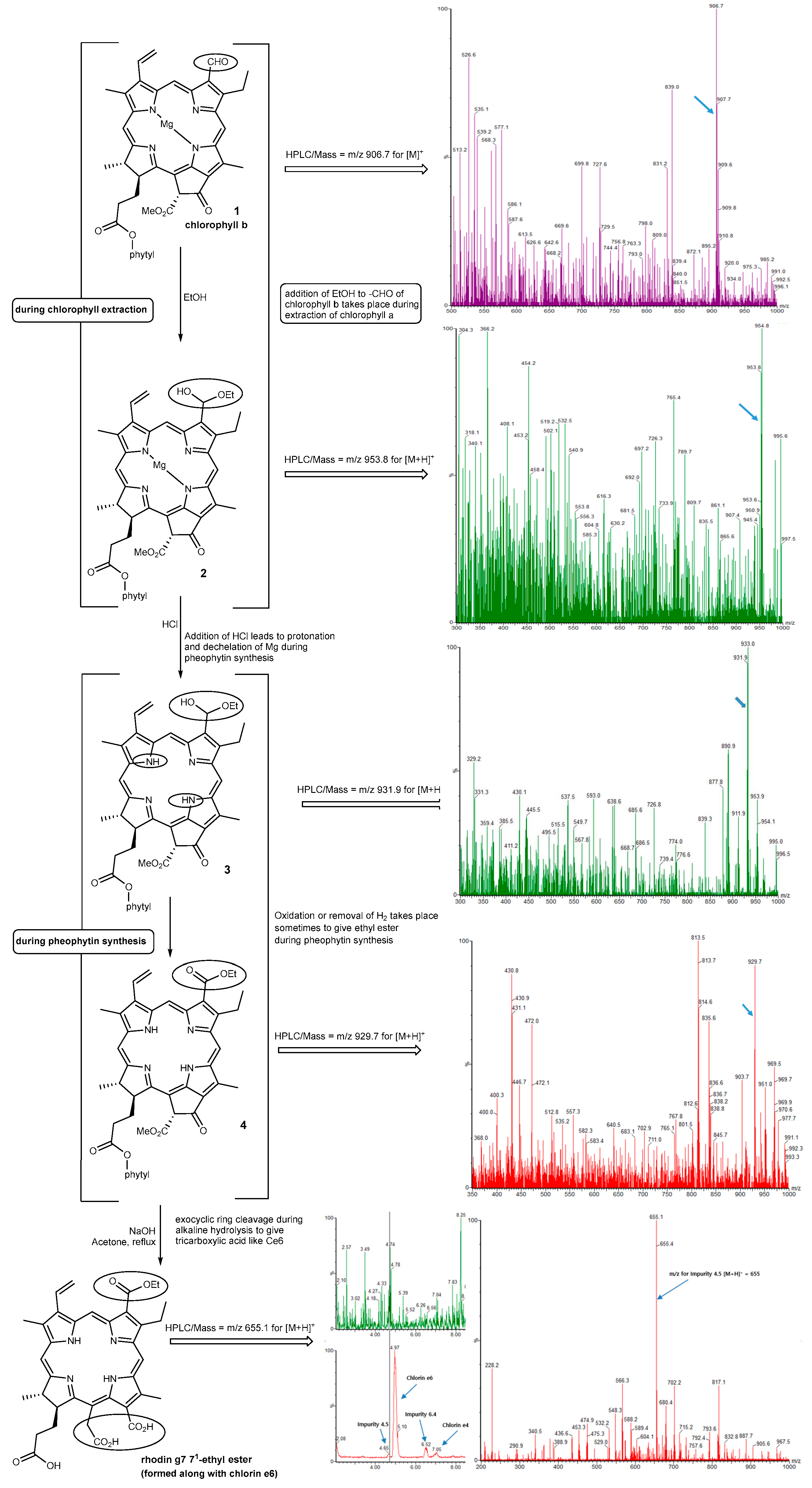 Ijms 25 07114 sch001