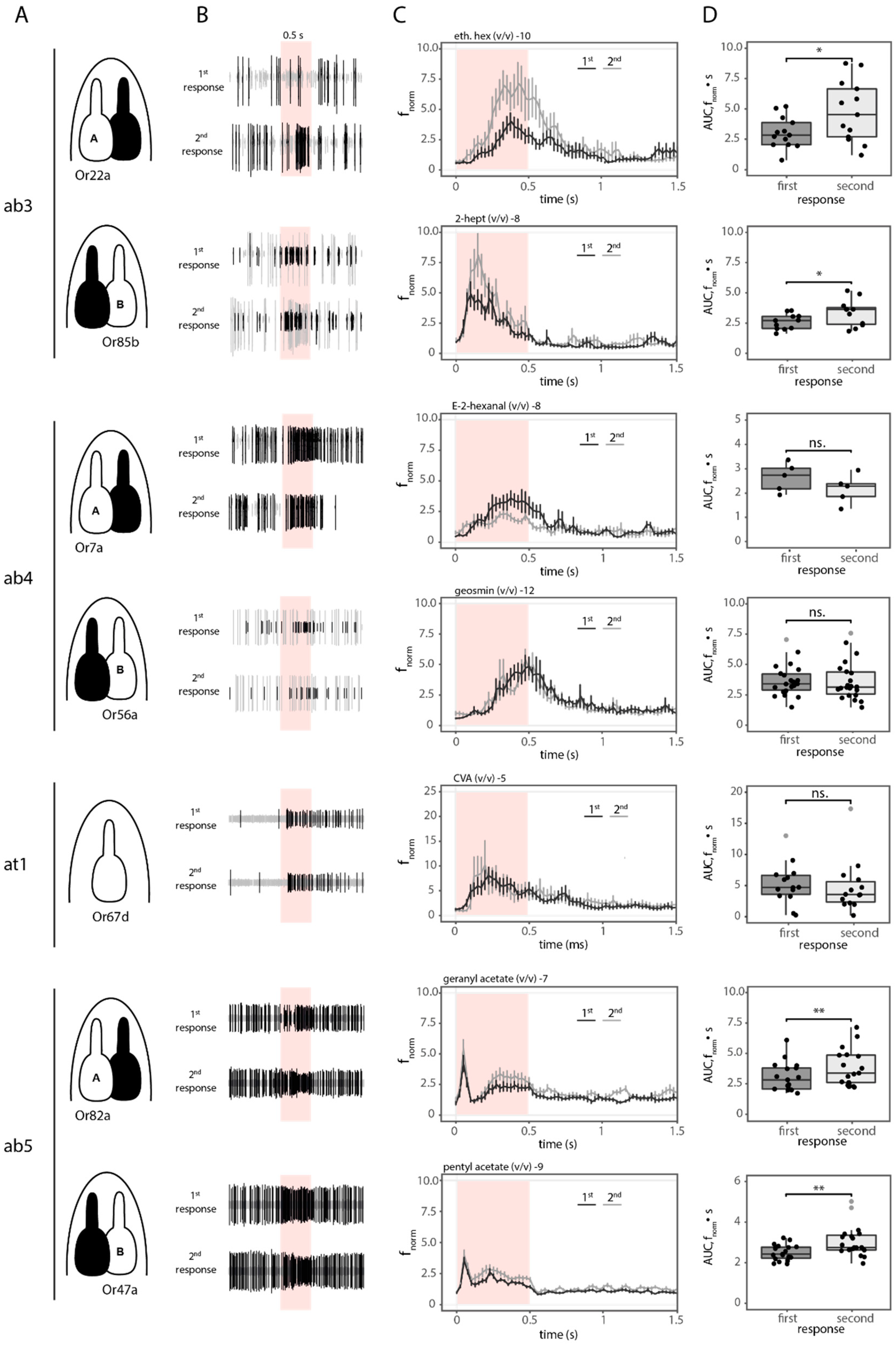 Ijms 25 07125 g001 Ijms 25 07125 g001