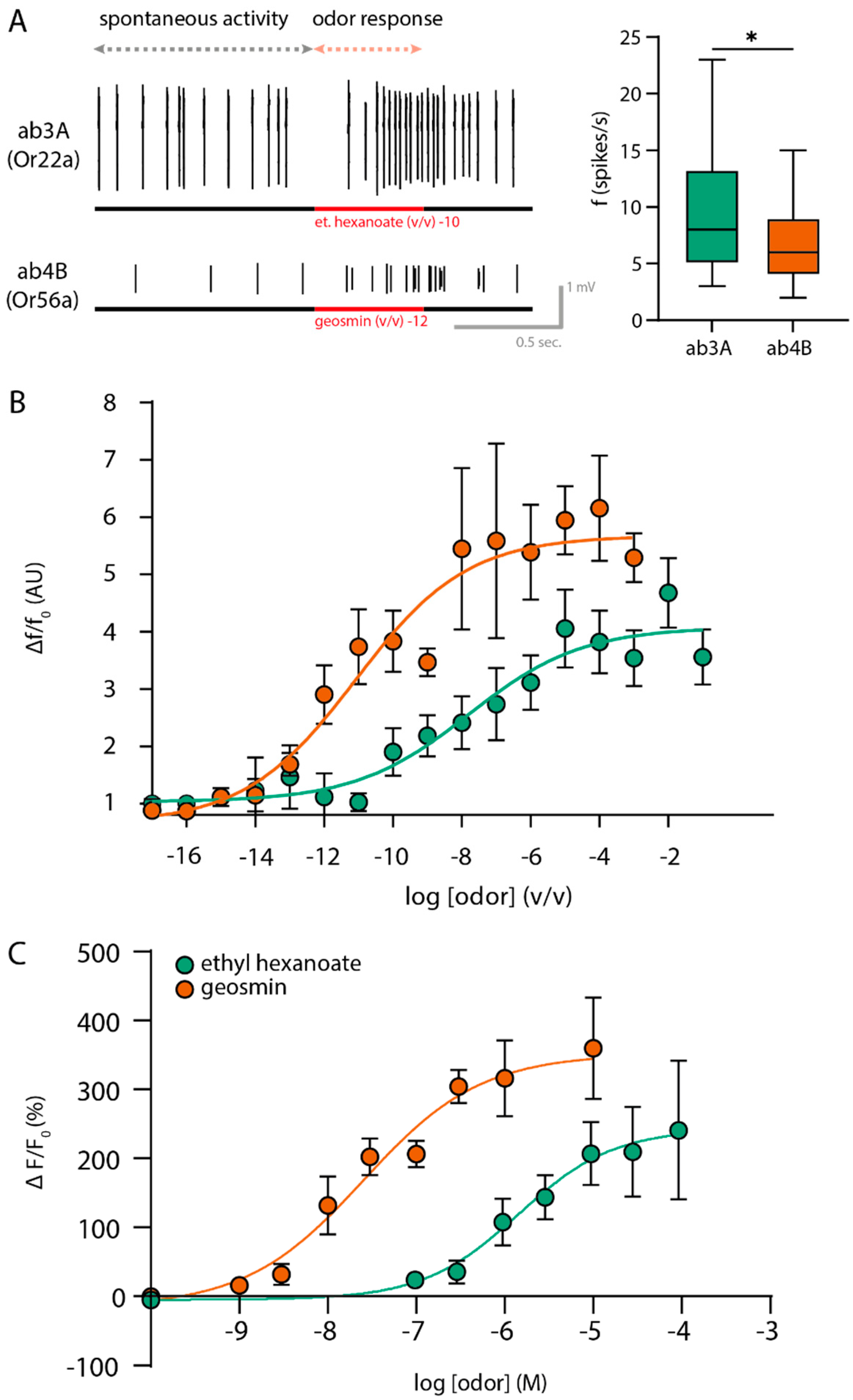 Ijms 25 07125 g002 Ijms 25 07125 g002
