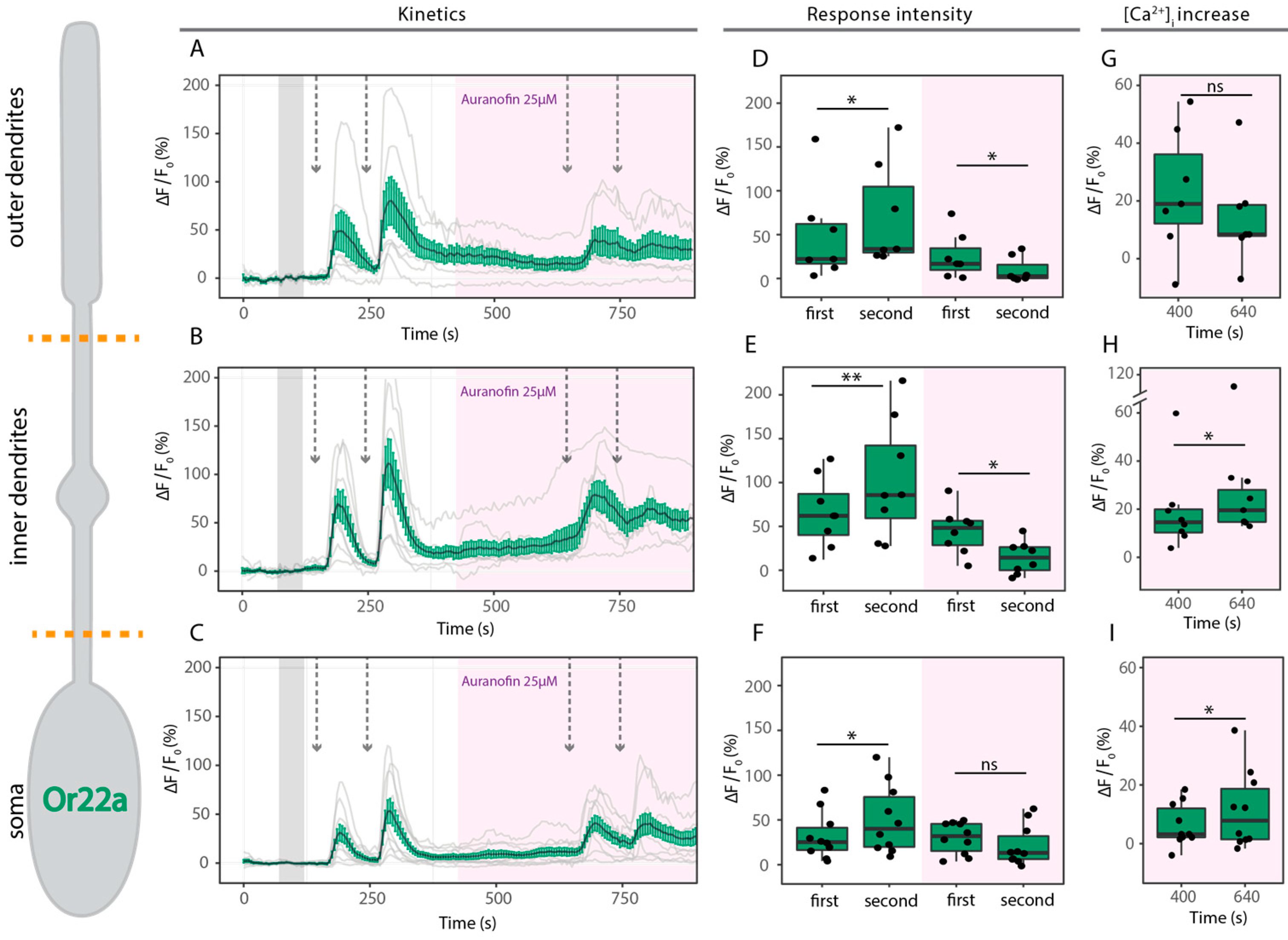 Ijms 25 07125 g005 Ijms 25 07125 g005