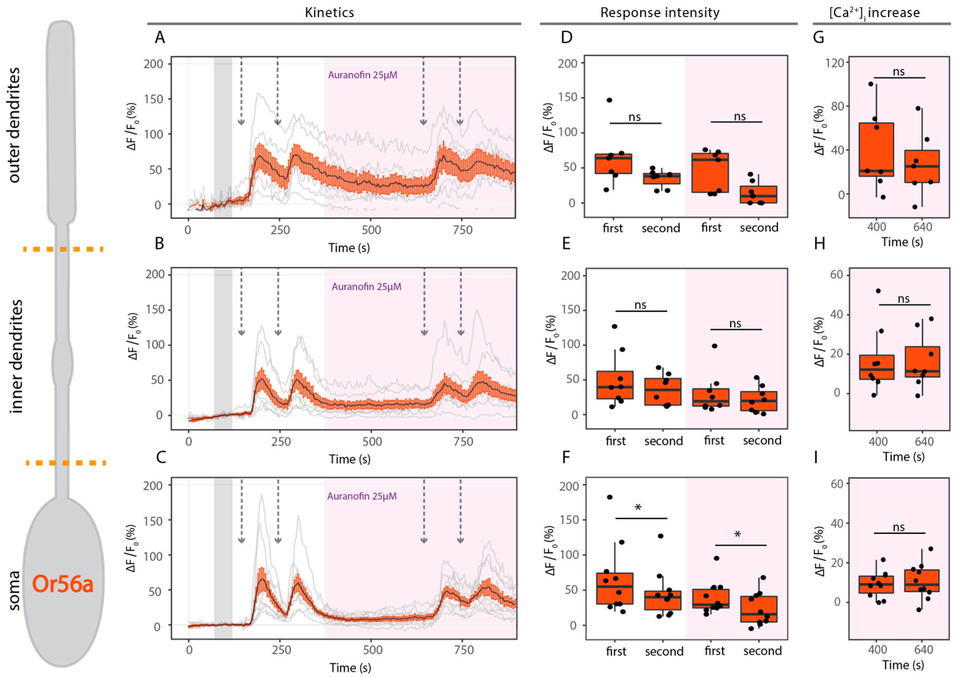 Ijms 25 07125 g006 Ijms 25 07125 g006