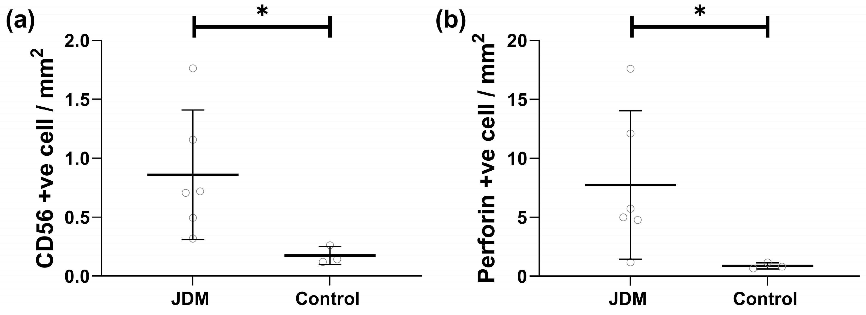 Ijms 25 07126 g003 Ijms 25 07126 g003