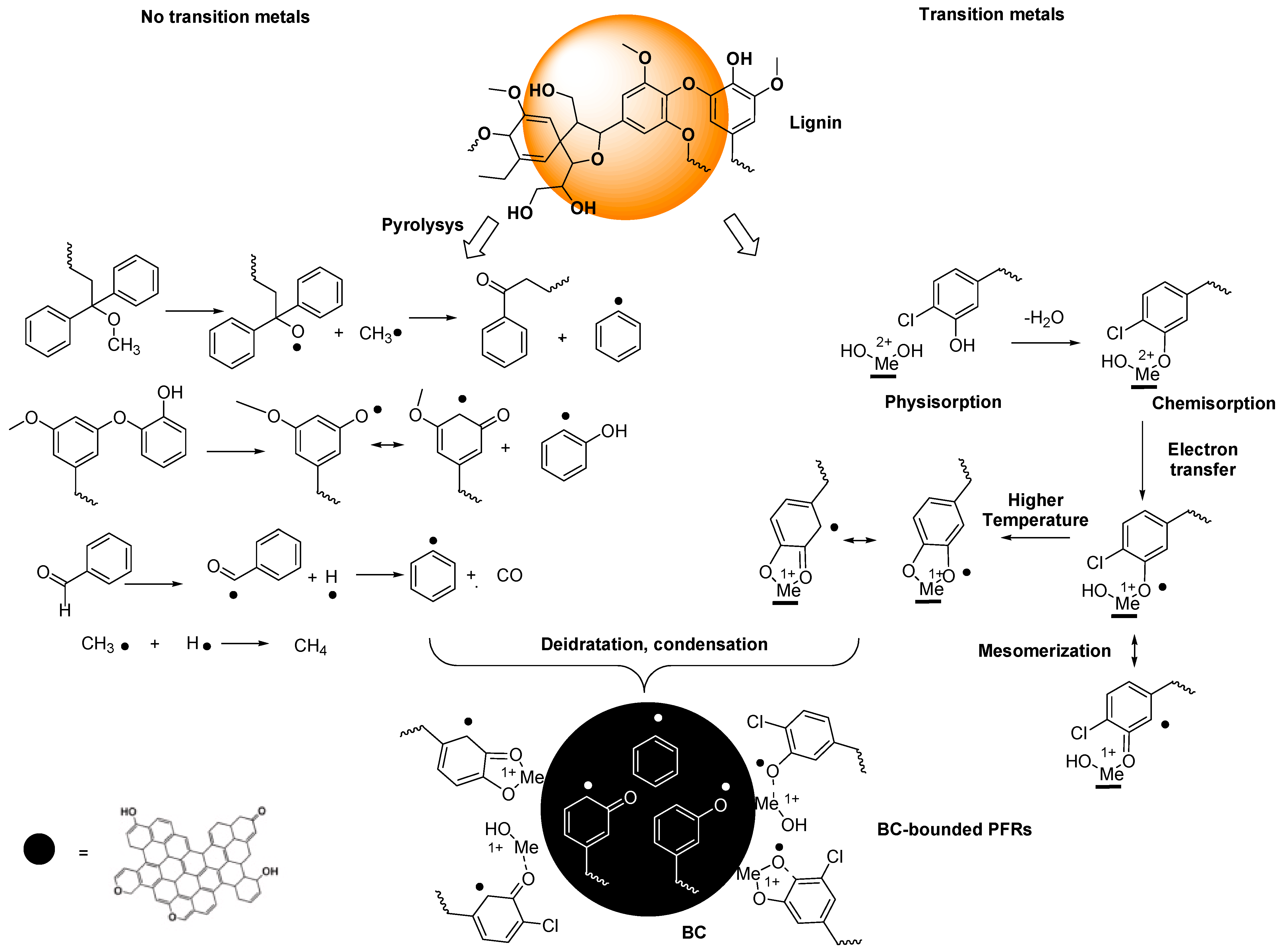 Ijms 25 07182 sch001