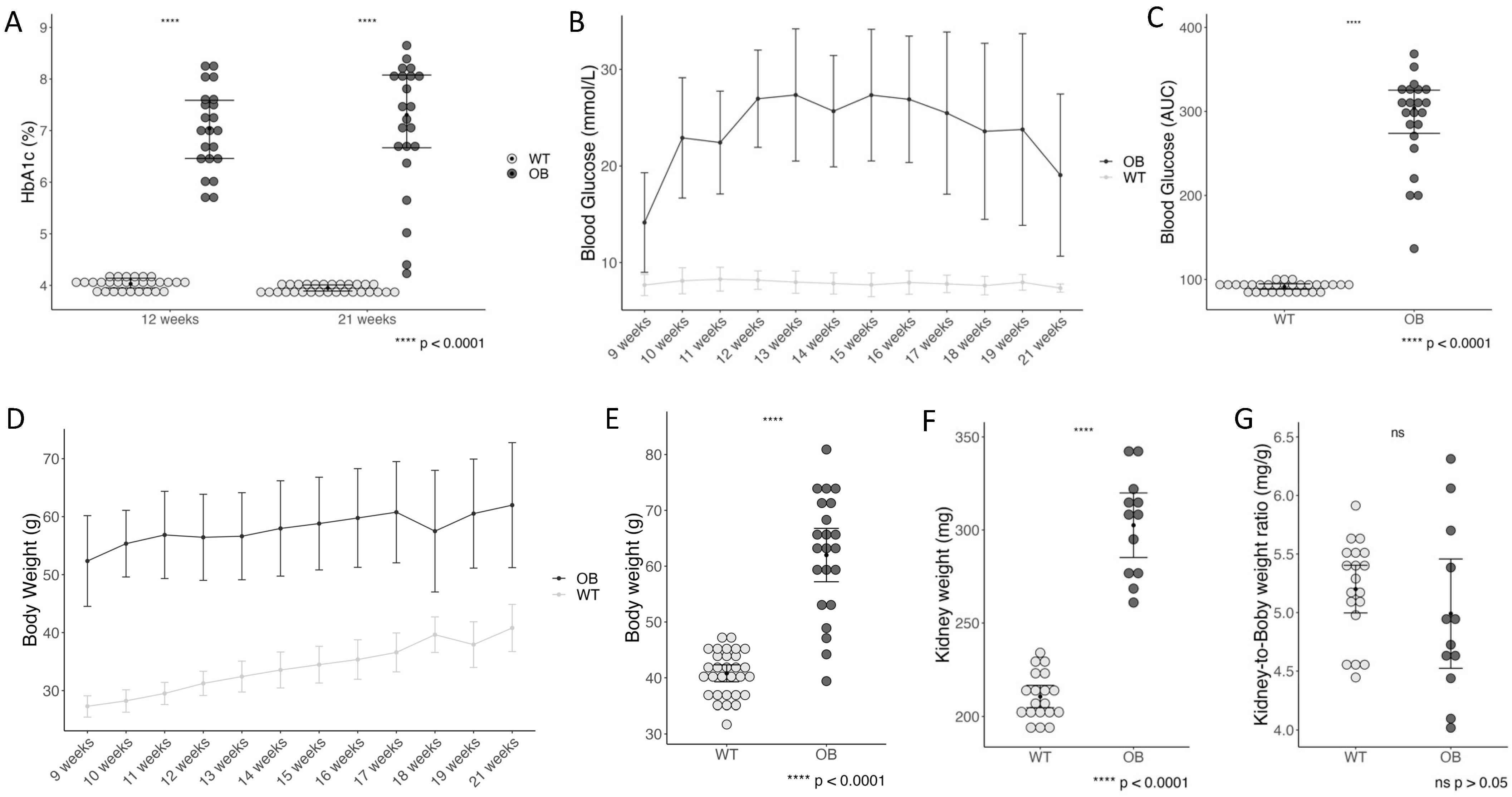 Ijms 25 07204 g001 Ijms 25 07204 g001