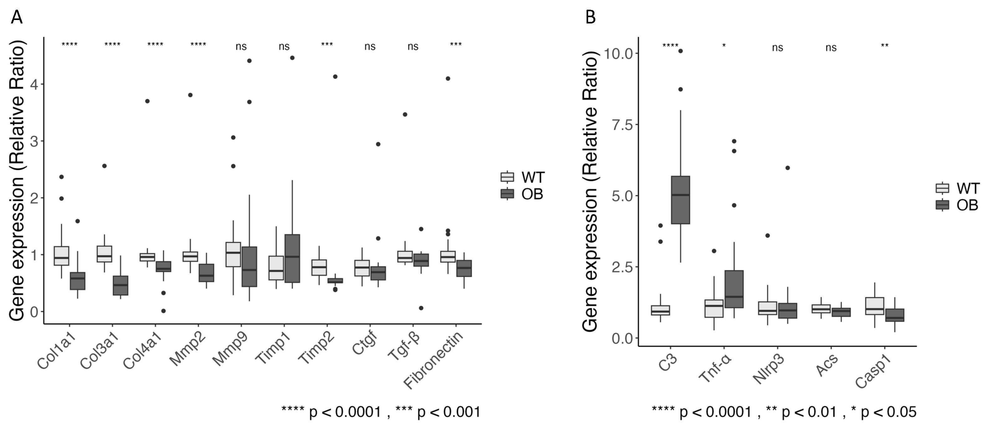 Ijms 25 07204 g004 Ijms 25 07204 g004