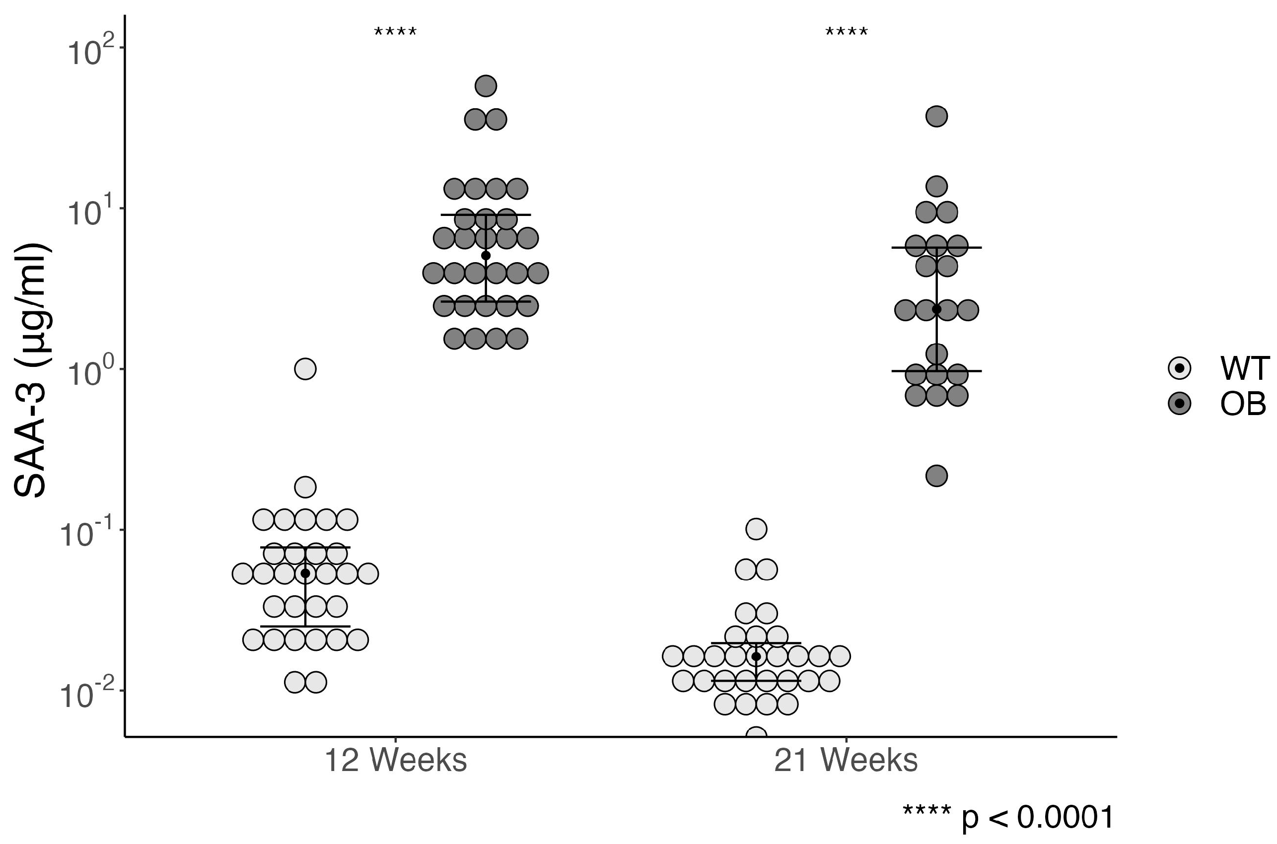 Ijms 25 07204 g006 Ijms 25 07204 g006