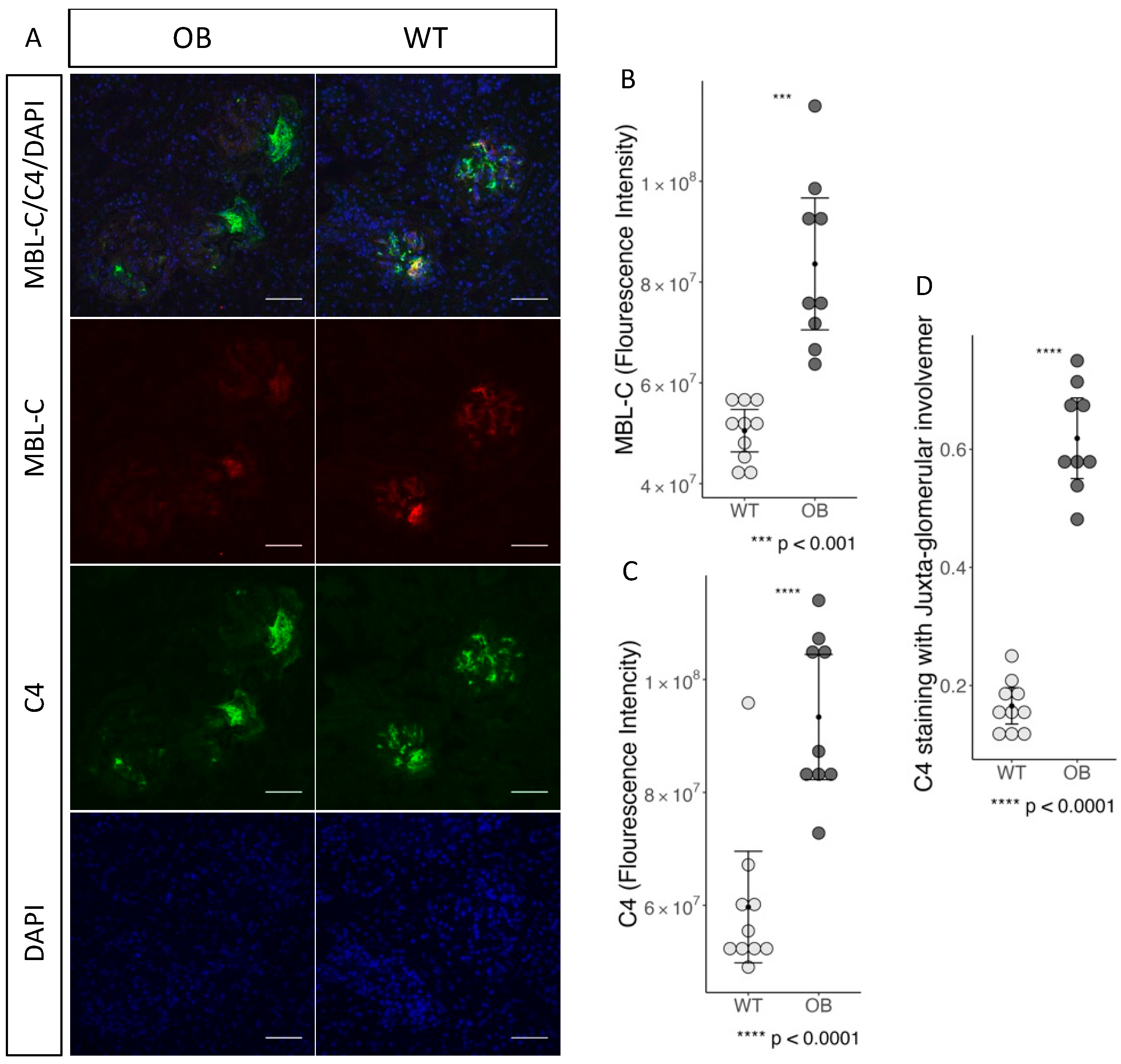 Ijms 25 07204 g007 Ijms 25 07204 g007