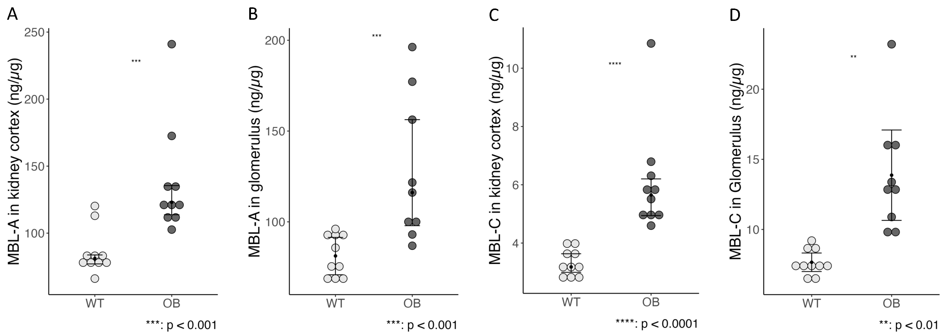 Ijms 25 07204 g009 Ijms 25 07204 g009