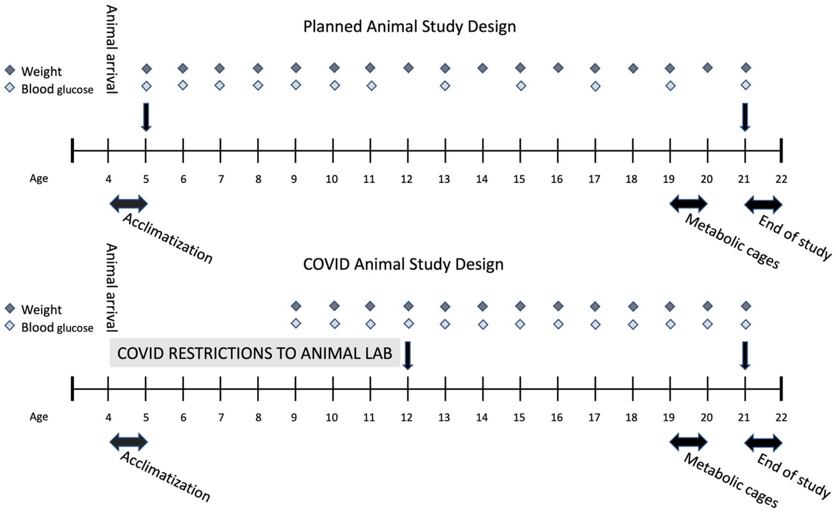 Ijms 25 07204 g011 Ijms 25 07204 g011