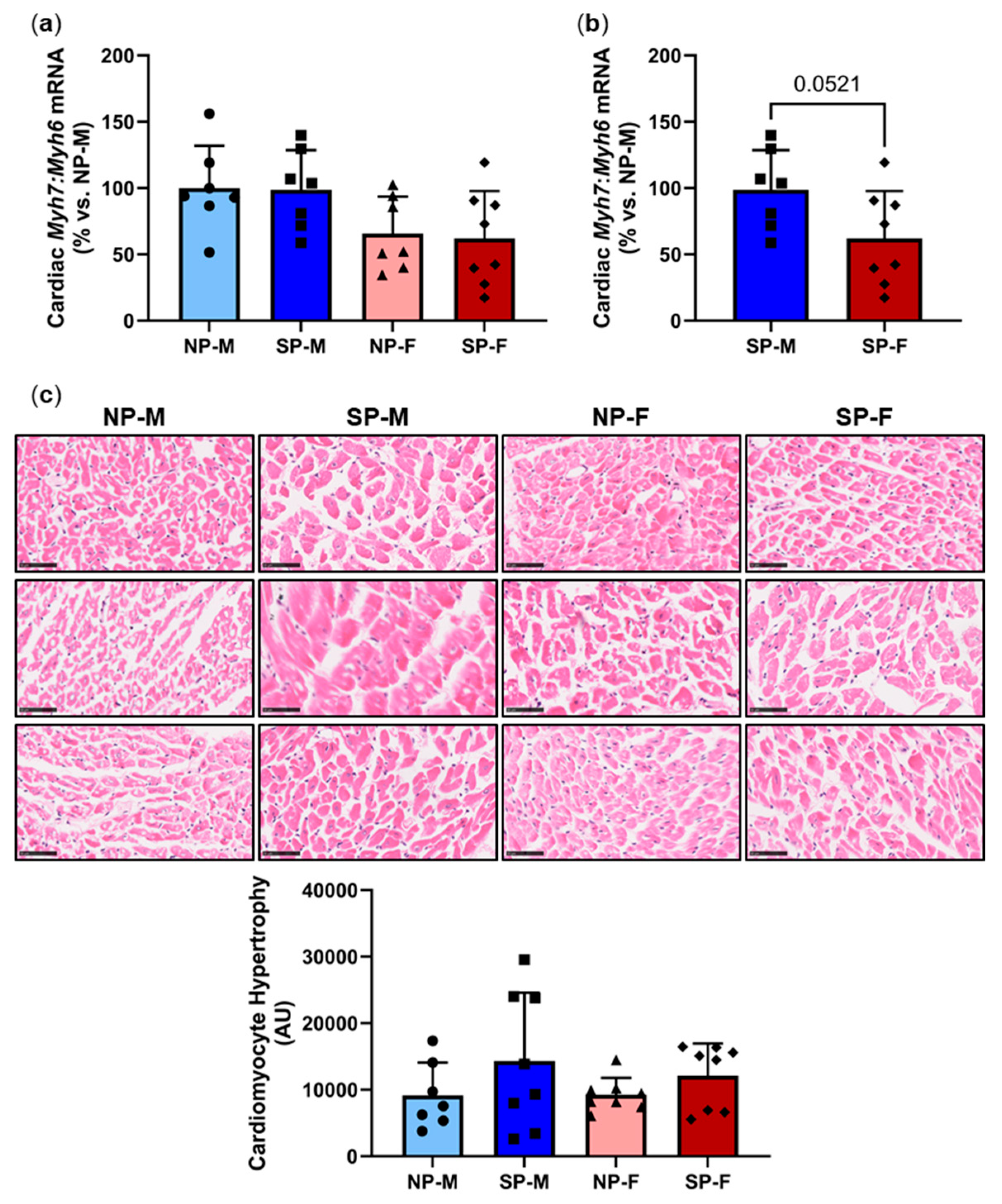 Ijms 25 07265 g004 Ijms 25 07265 g004