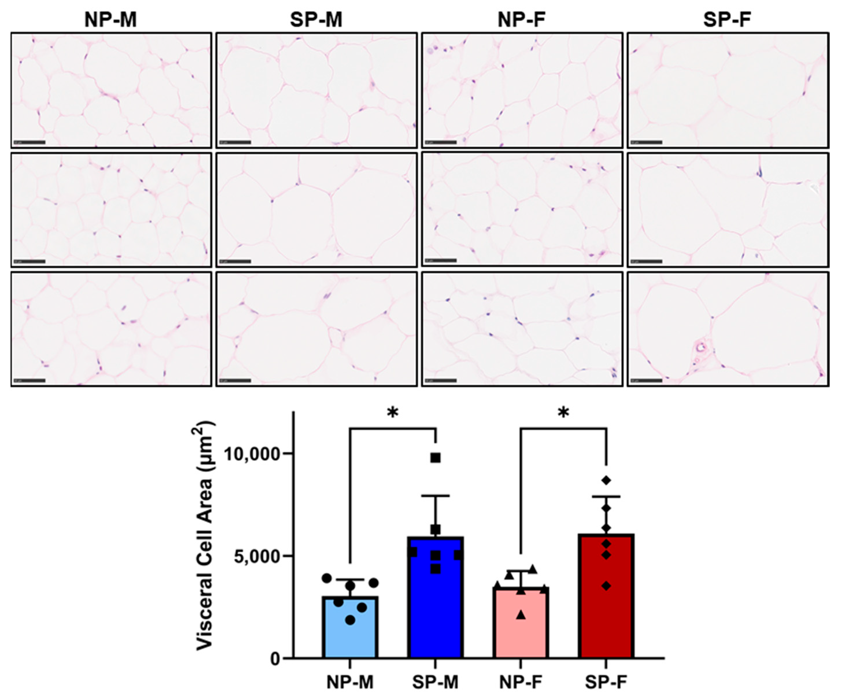 Ijms 25 07265 g005 Ijms 25 07265 g005