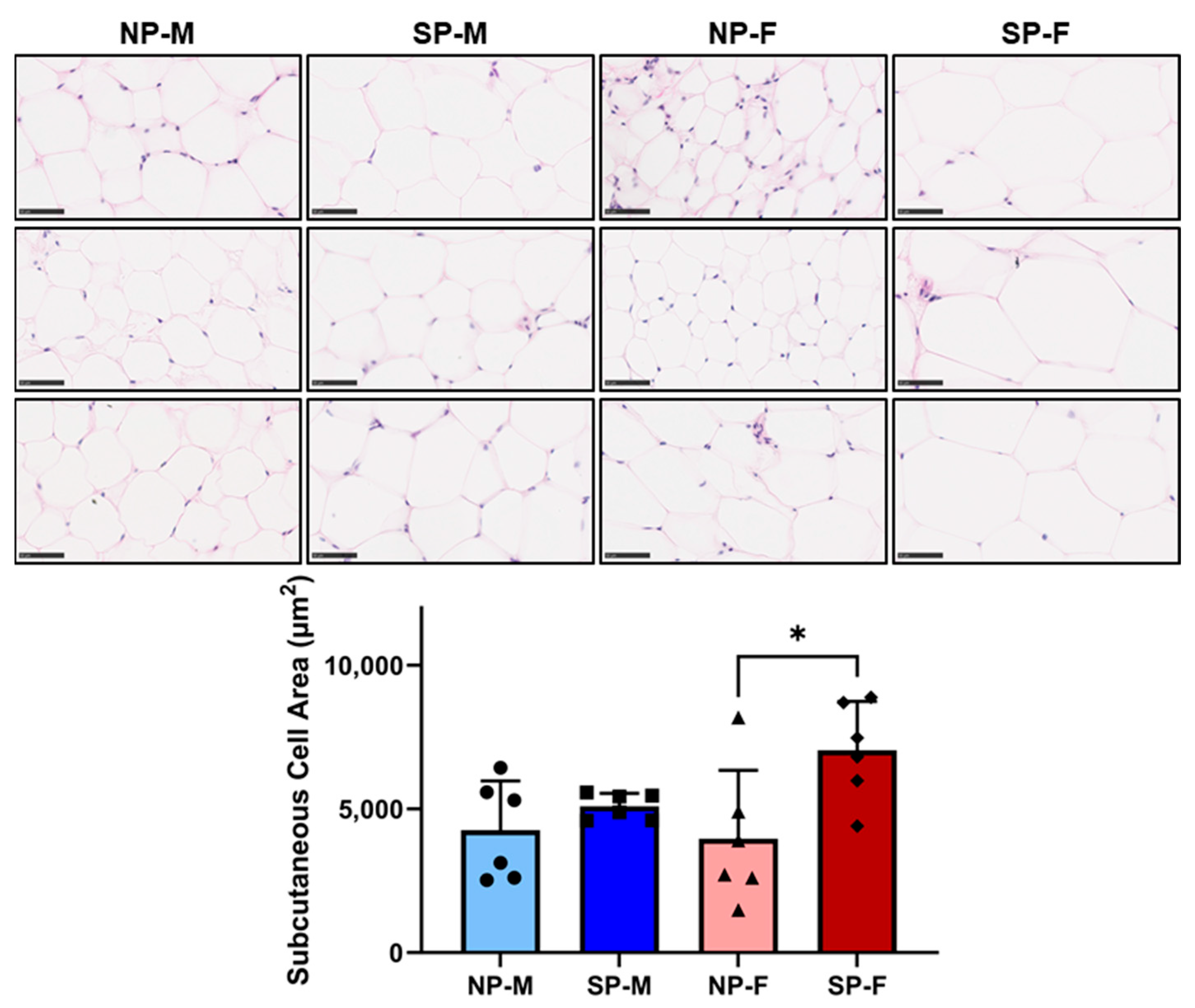 Ijms 25 07265 g006 Ijms 25 07265 g006