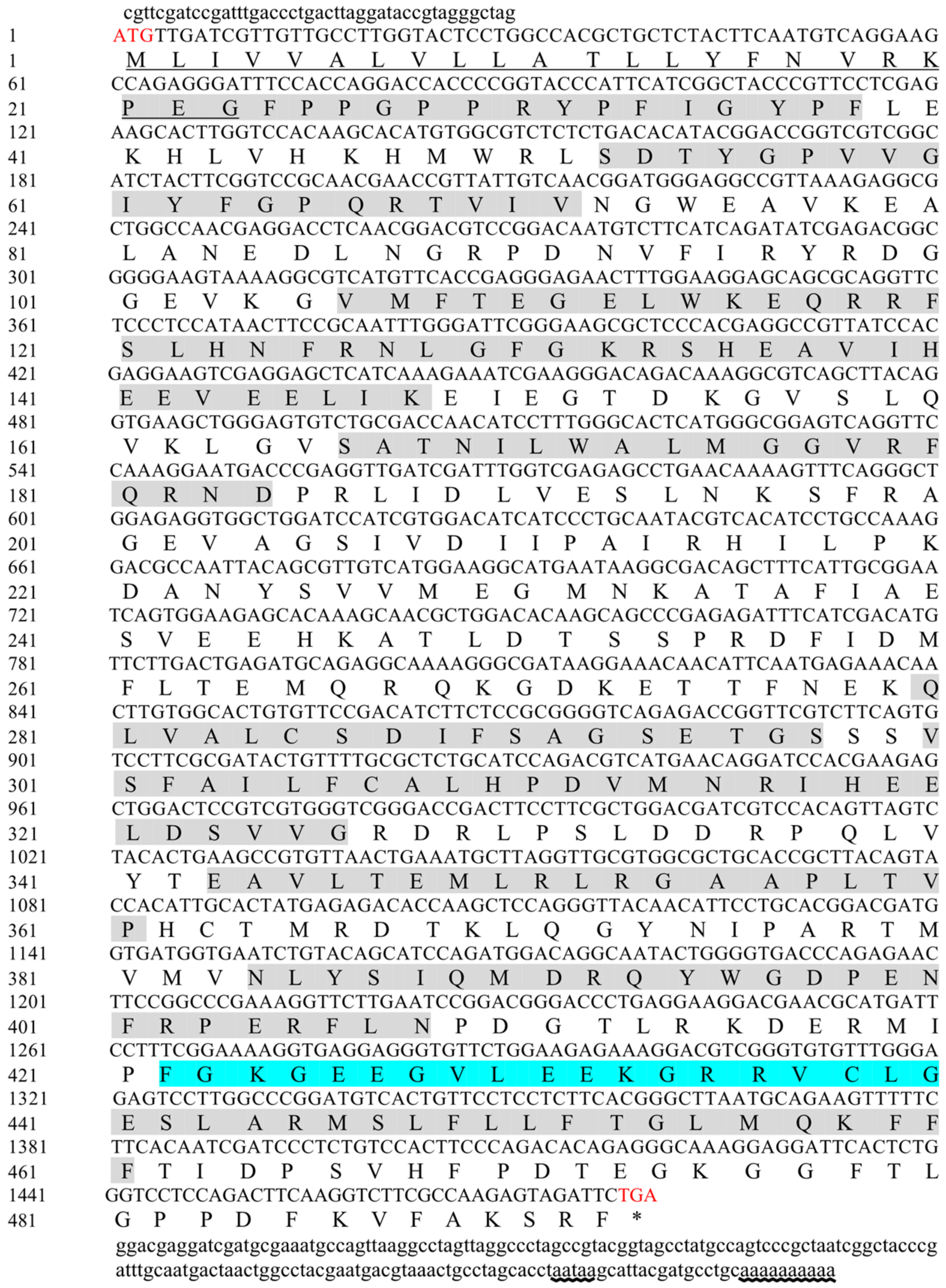 Ijms 25 07318 g001 Ijms 25 07318 g001