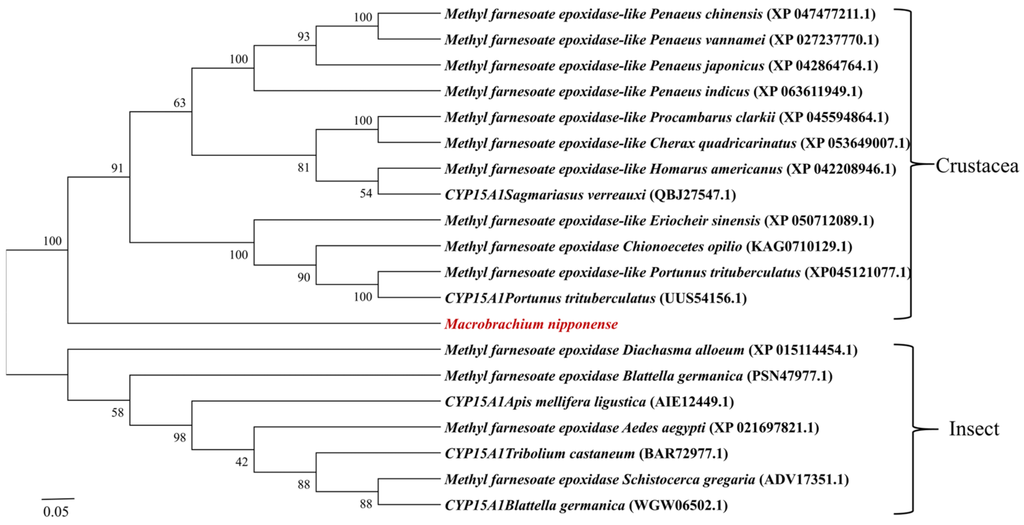 Ijms 25 07318 g003 Ijms 25 07318 g003