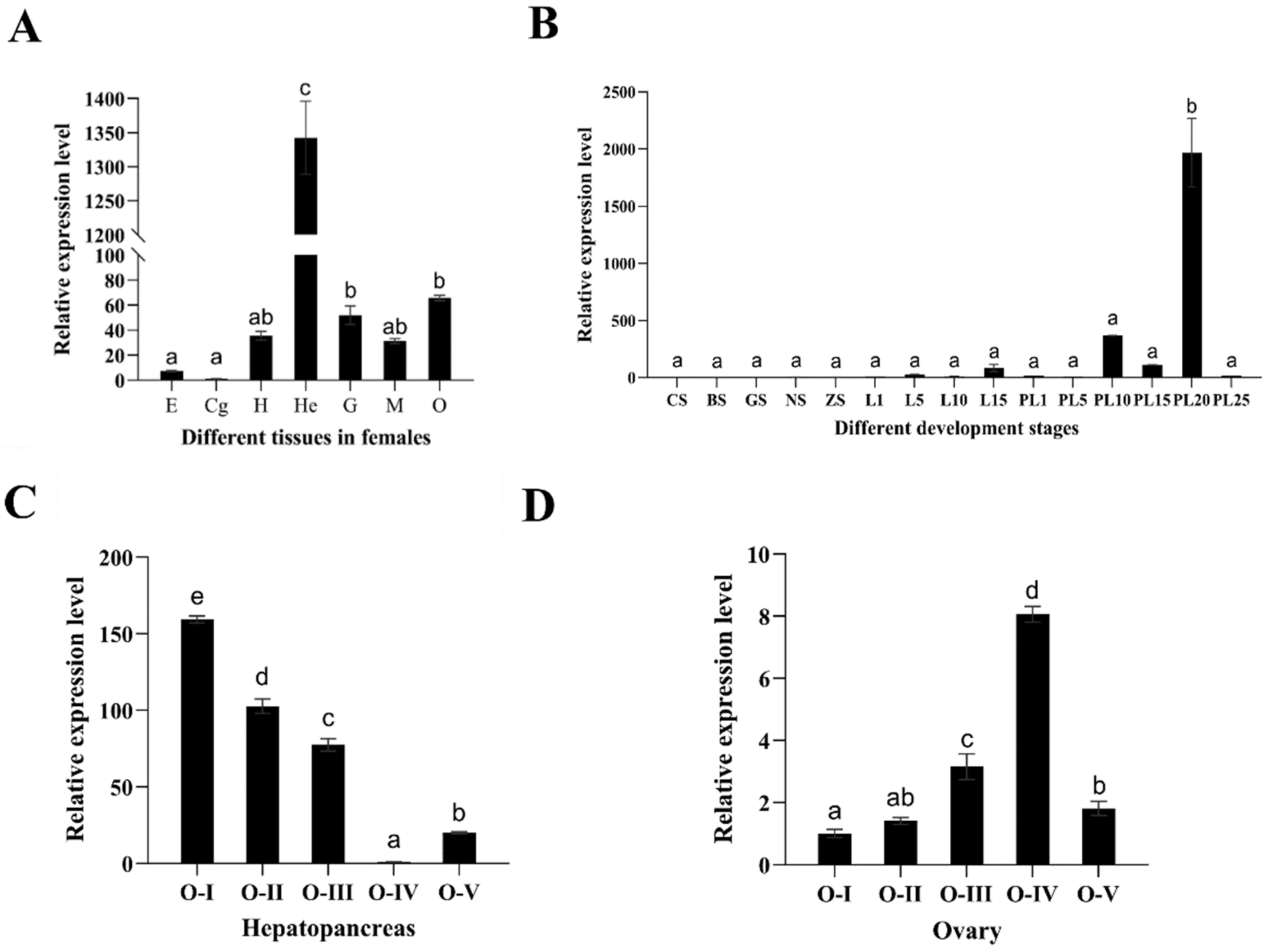 Ijms 25 07318 g004 Ijms 25 07318 g004