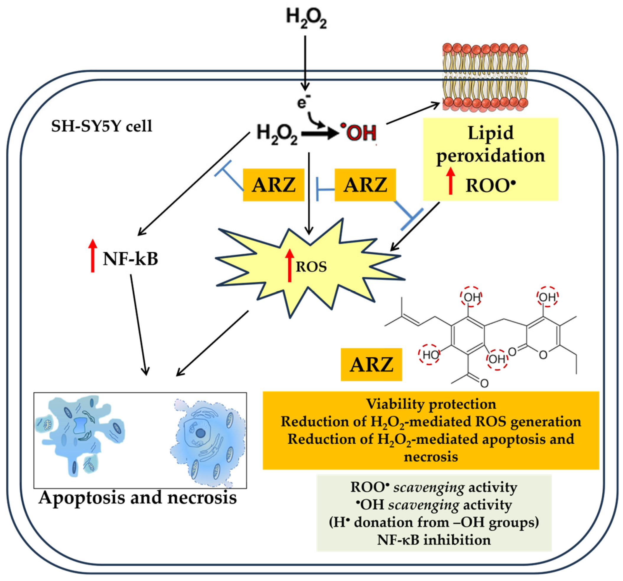 Ijms 25 07386 sch001