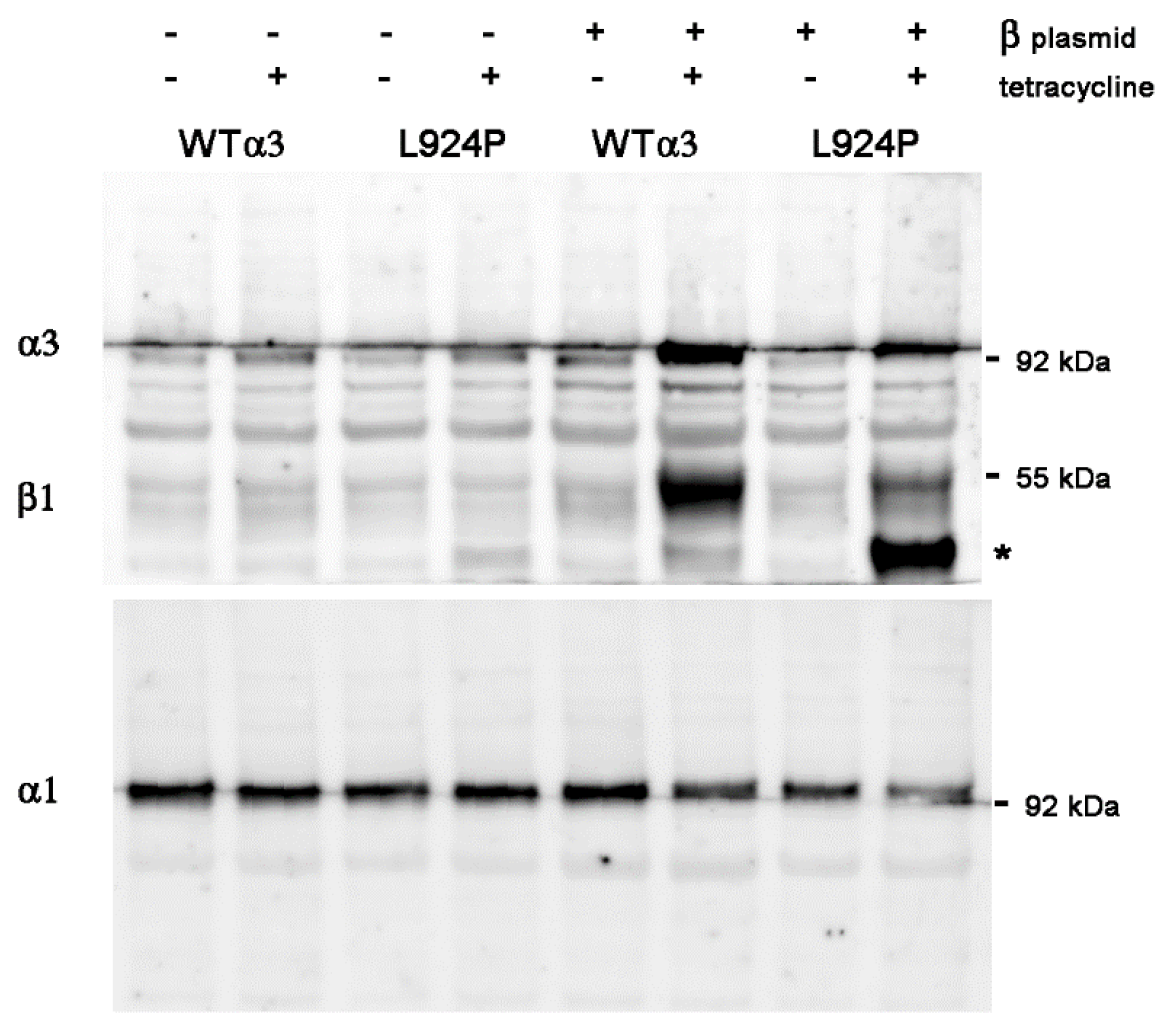 Ijms 25 07414 g005 Ijms 25 07414 g005