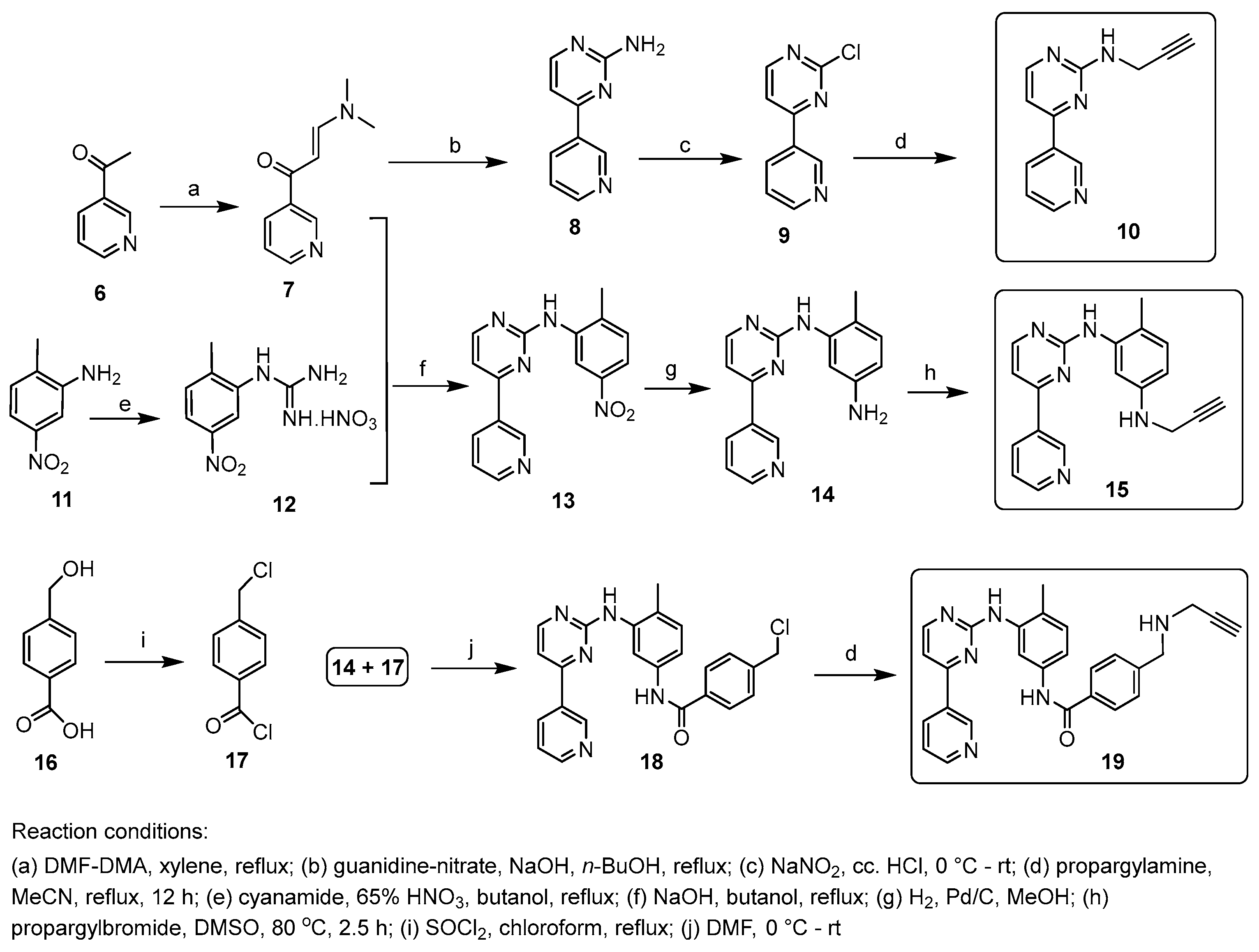 Ijms 25 07428 sch001