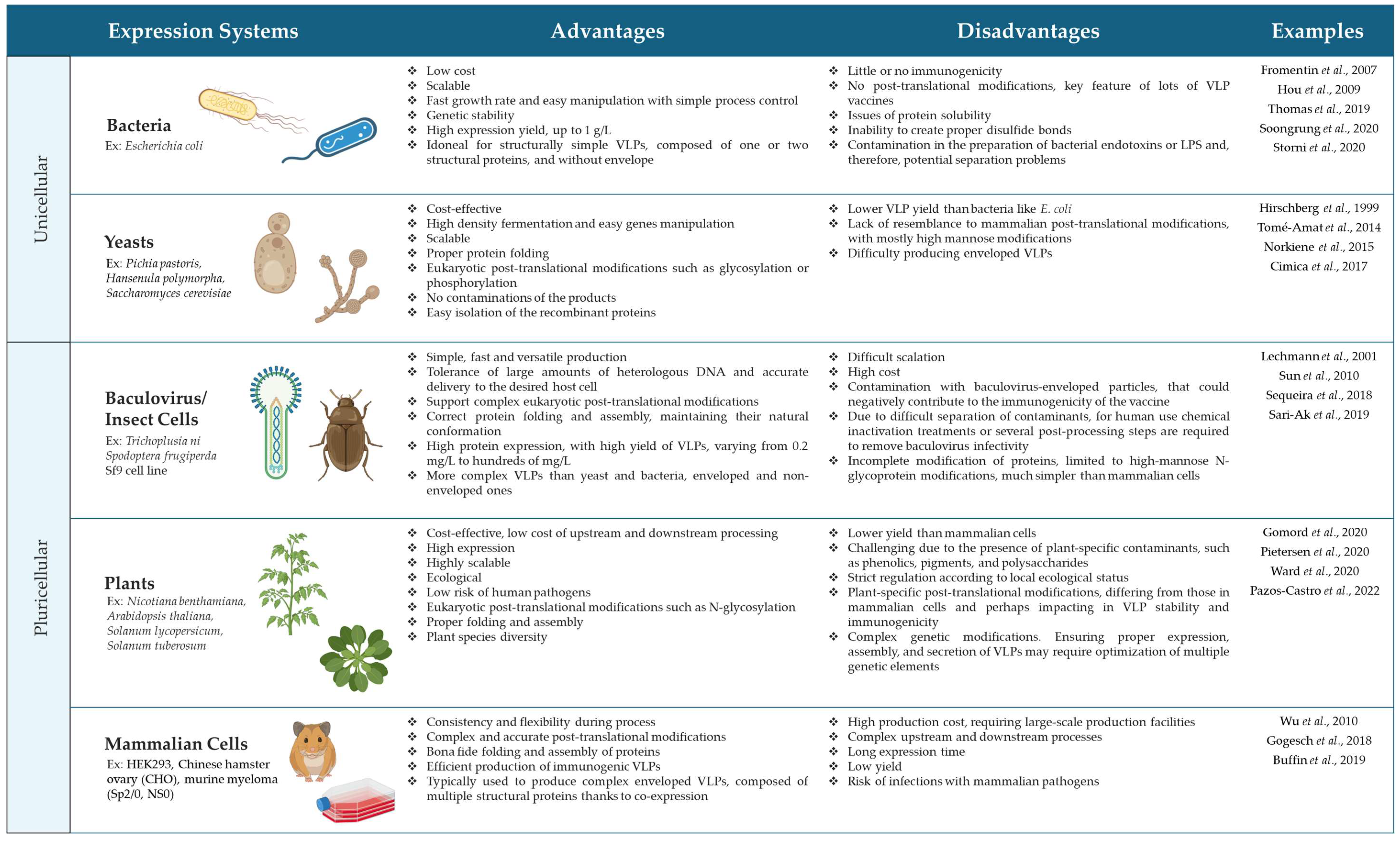 Ijms 25 07429 sch001