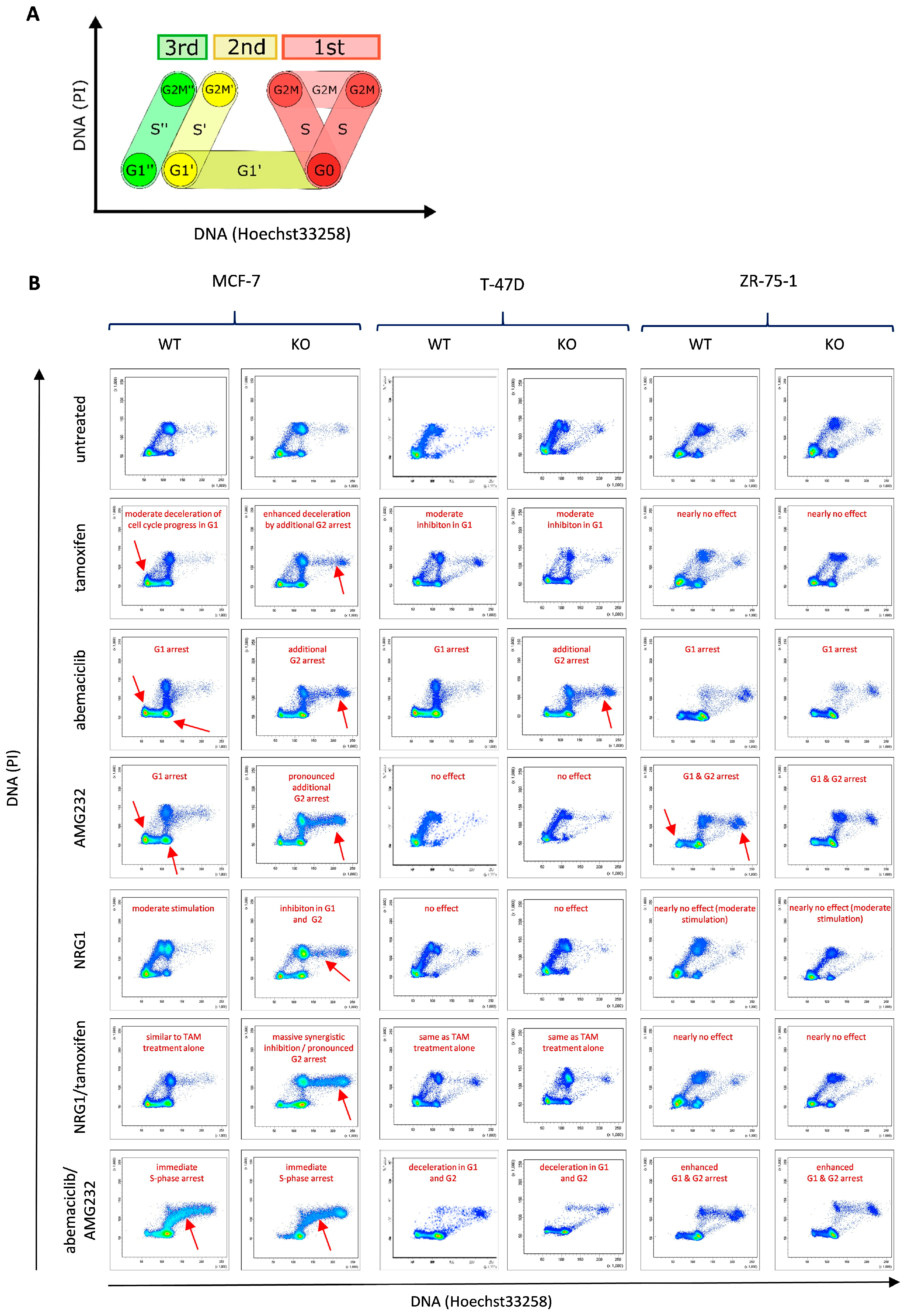 Ijms 25 07475 g001 Ijms 25 07475 g001
