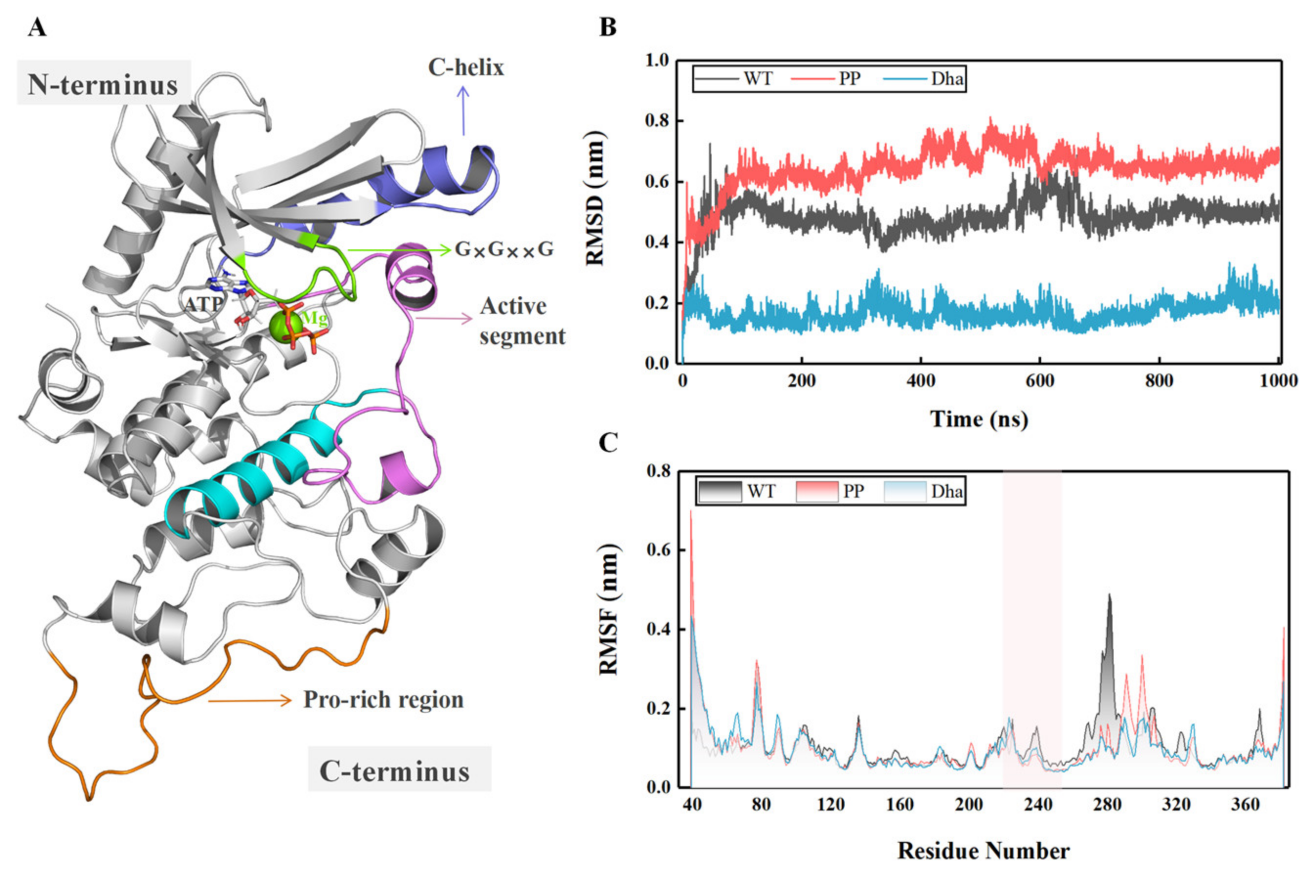 Ijms 25 07482 g002 Ijms 25 07482 g002