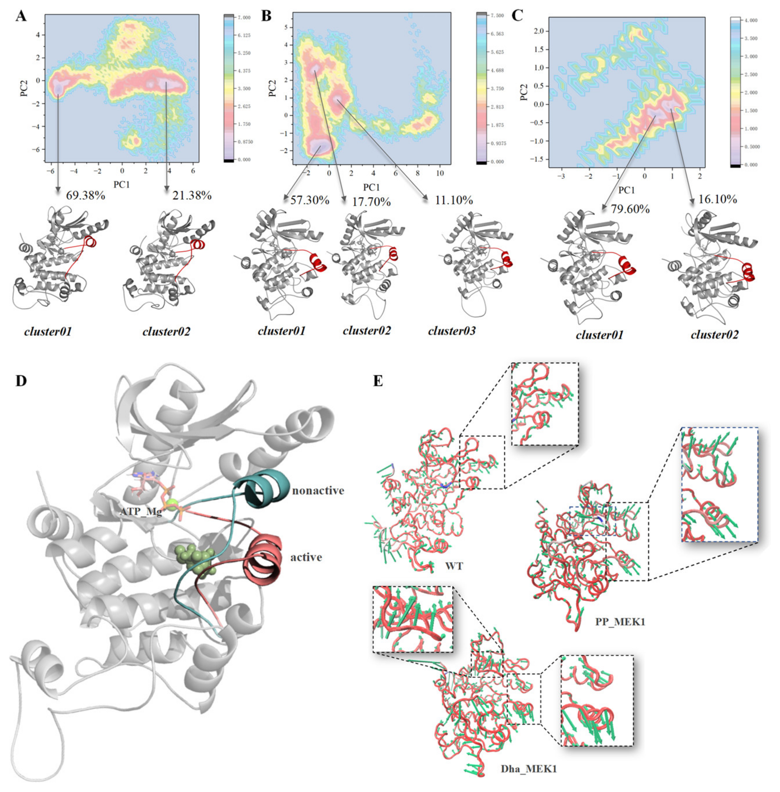 Ijms 25 07482 g004 Ijms 25 07482 g004