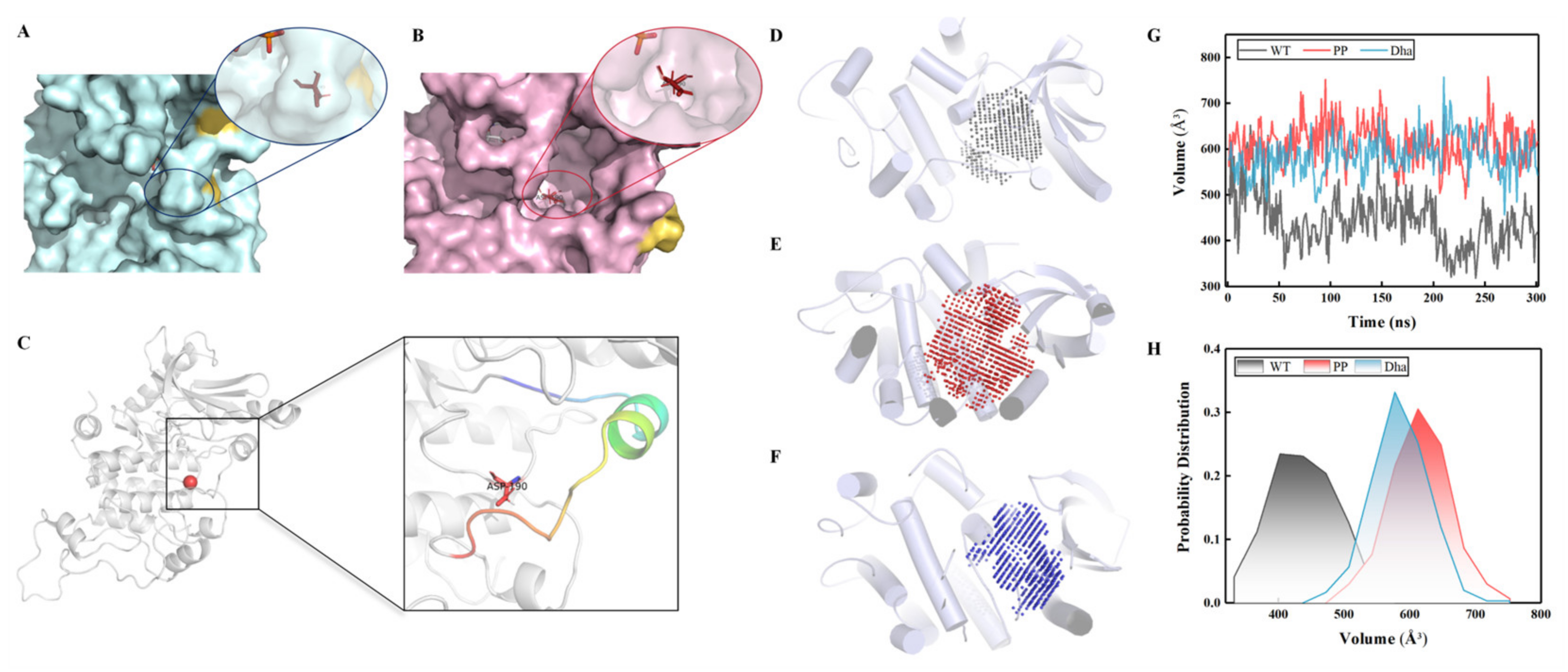 Ijms 25 07482 g006 Ijms 25 07482 g006