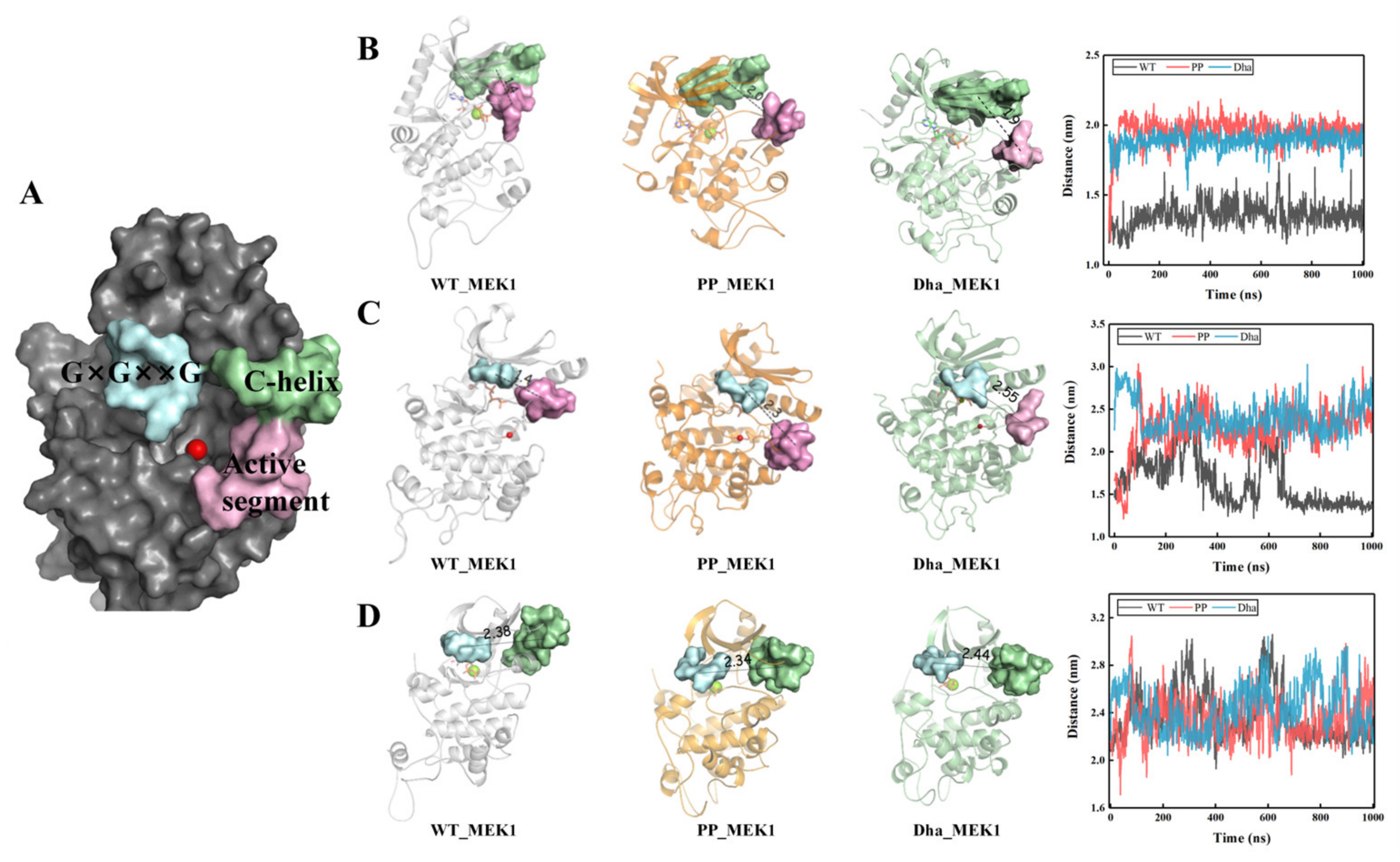 Ijms 25 07482 g007 Ijms 25 07482 g007