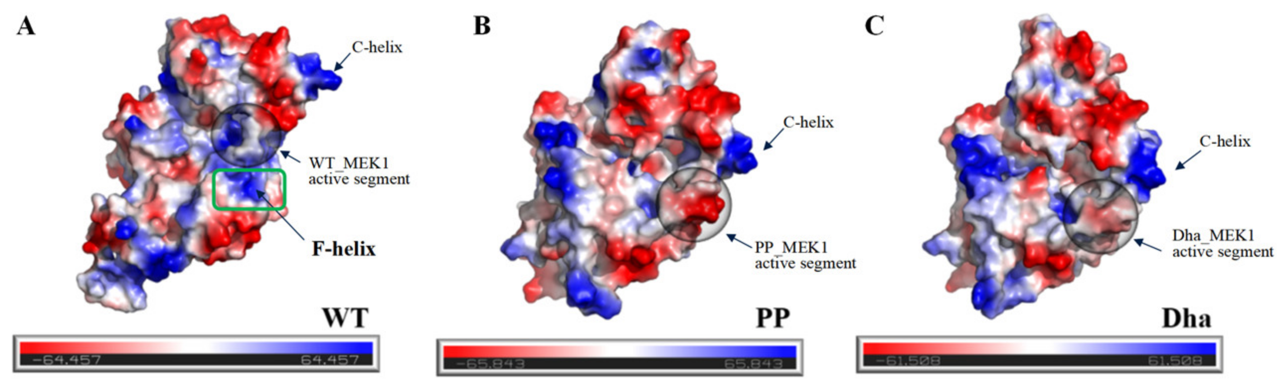 Ijms 25 07482 g008 Ijms 25 07482 g008