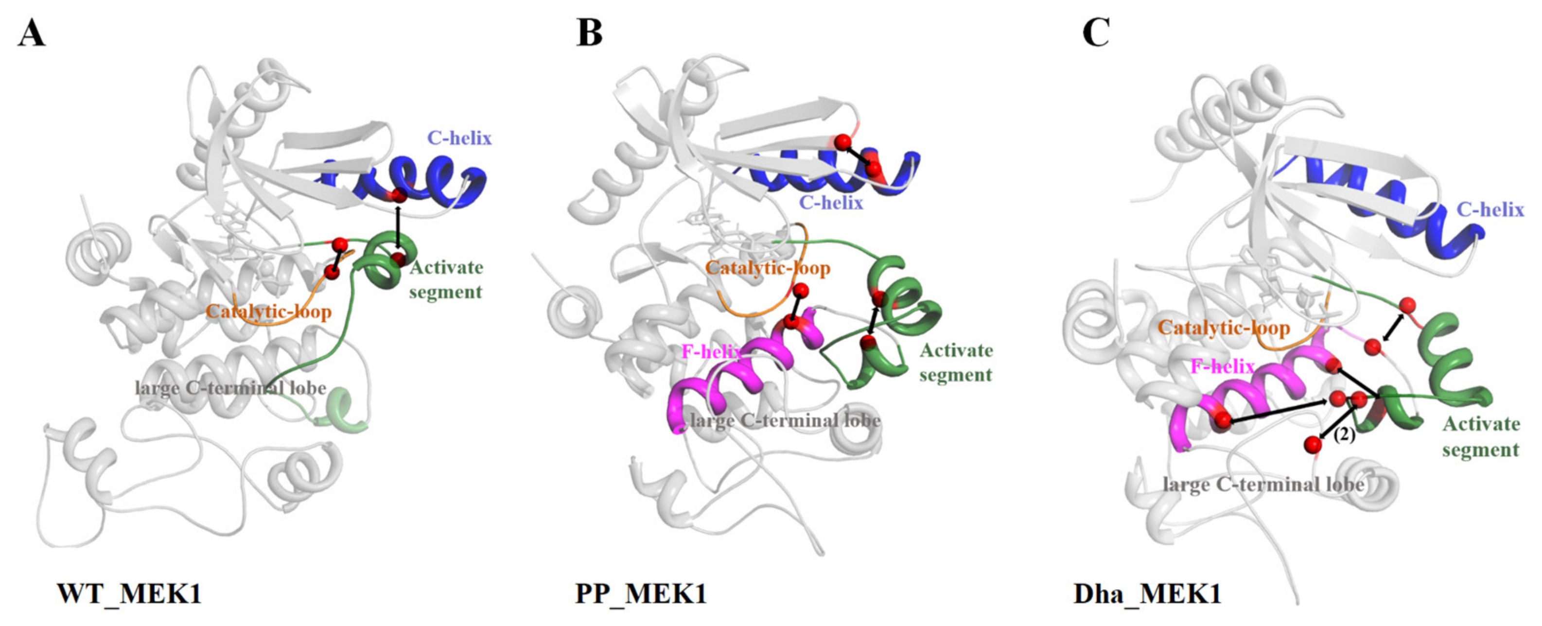 Ijms 25 07482 g009 Ijms 25 07482 g009